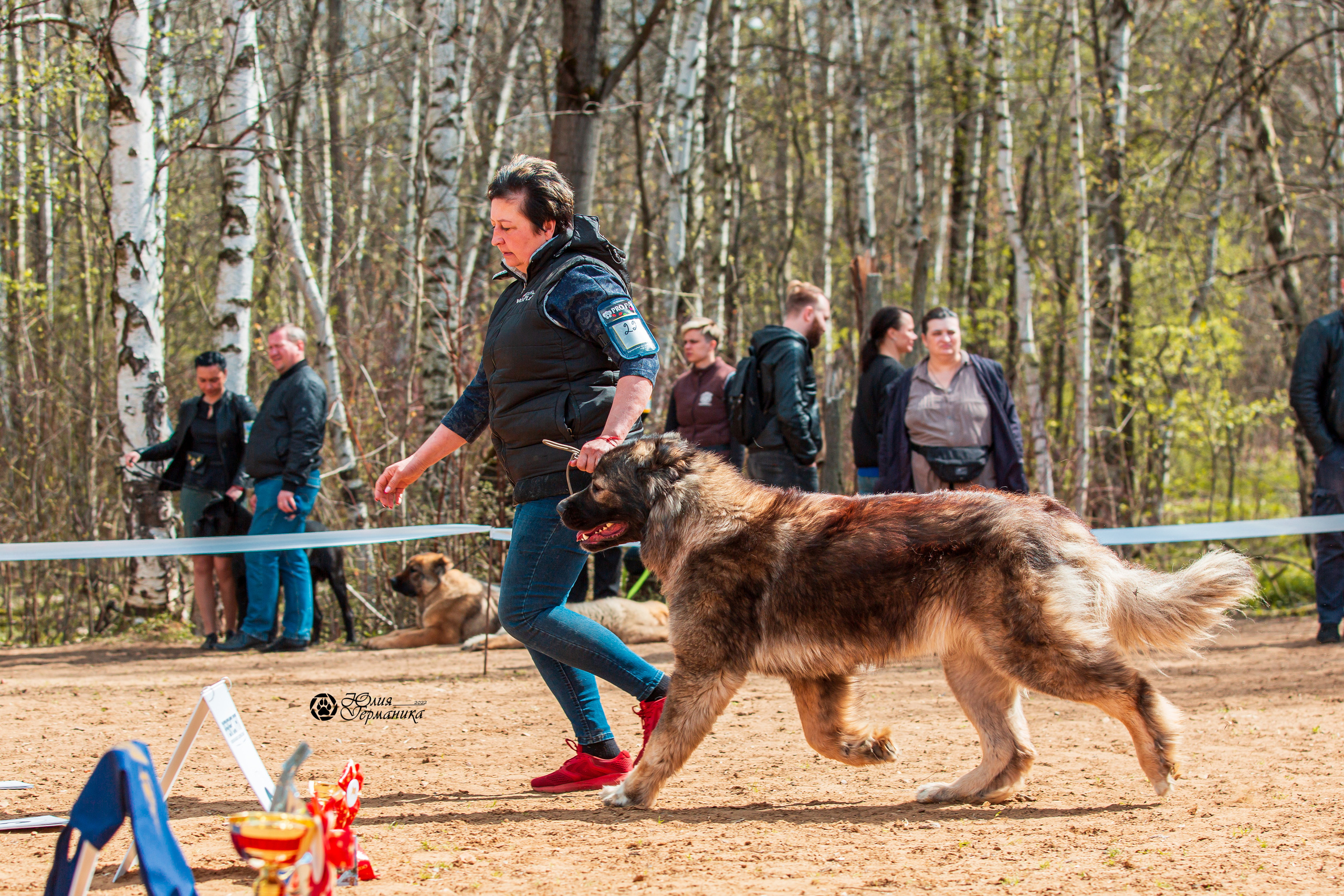 Сокольники 1 мая 2022. Фотограф-анималист Юлия Германика