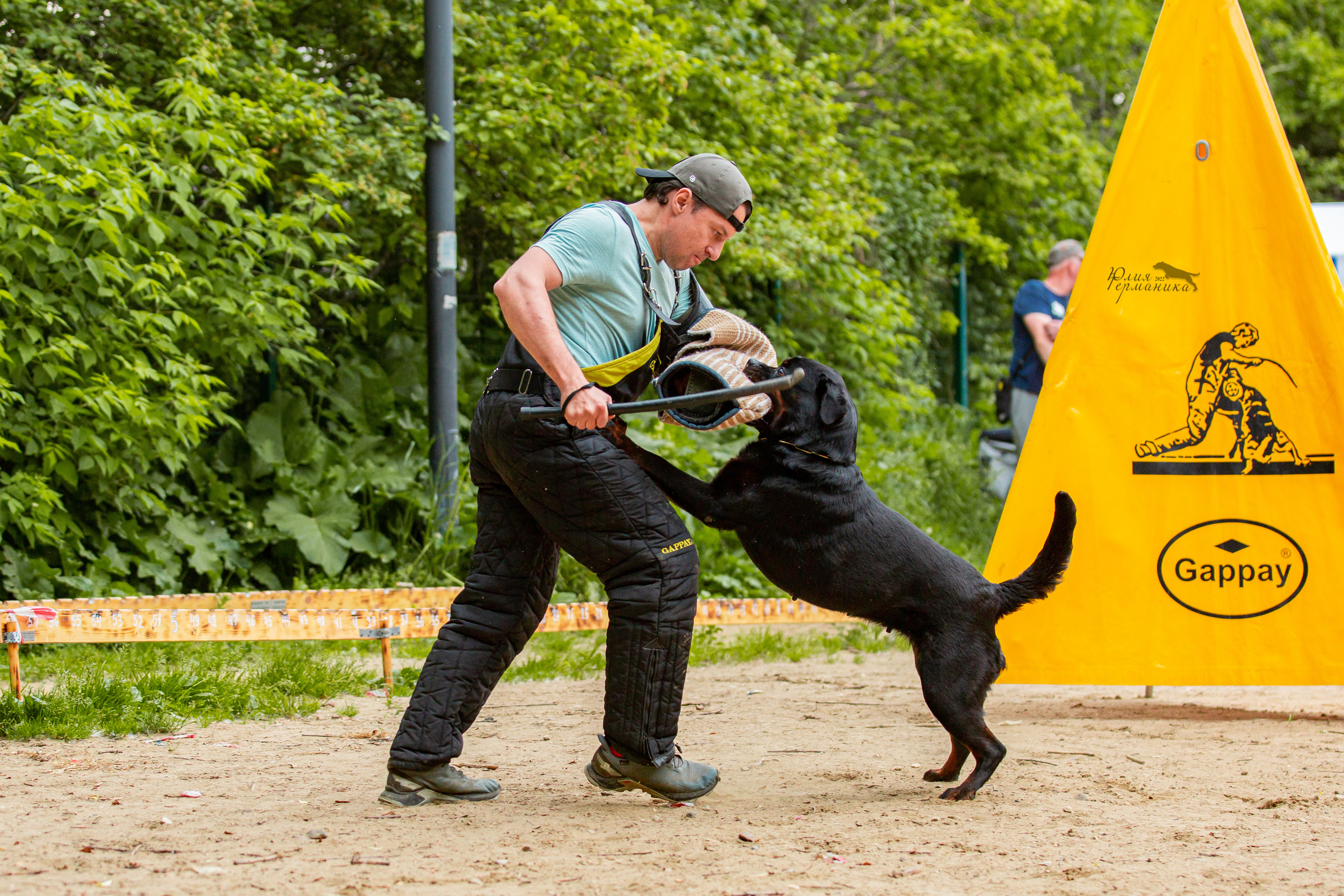 Смоленск 12.06,   Ховрино 13.06,    Питер 18.06 2022. Фотограф-анималист Юлия Германика