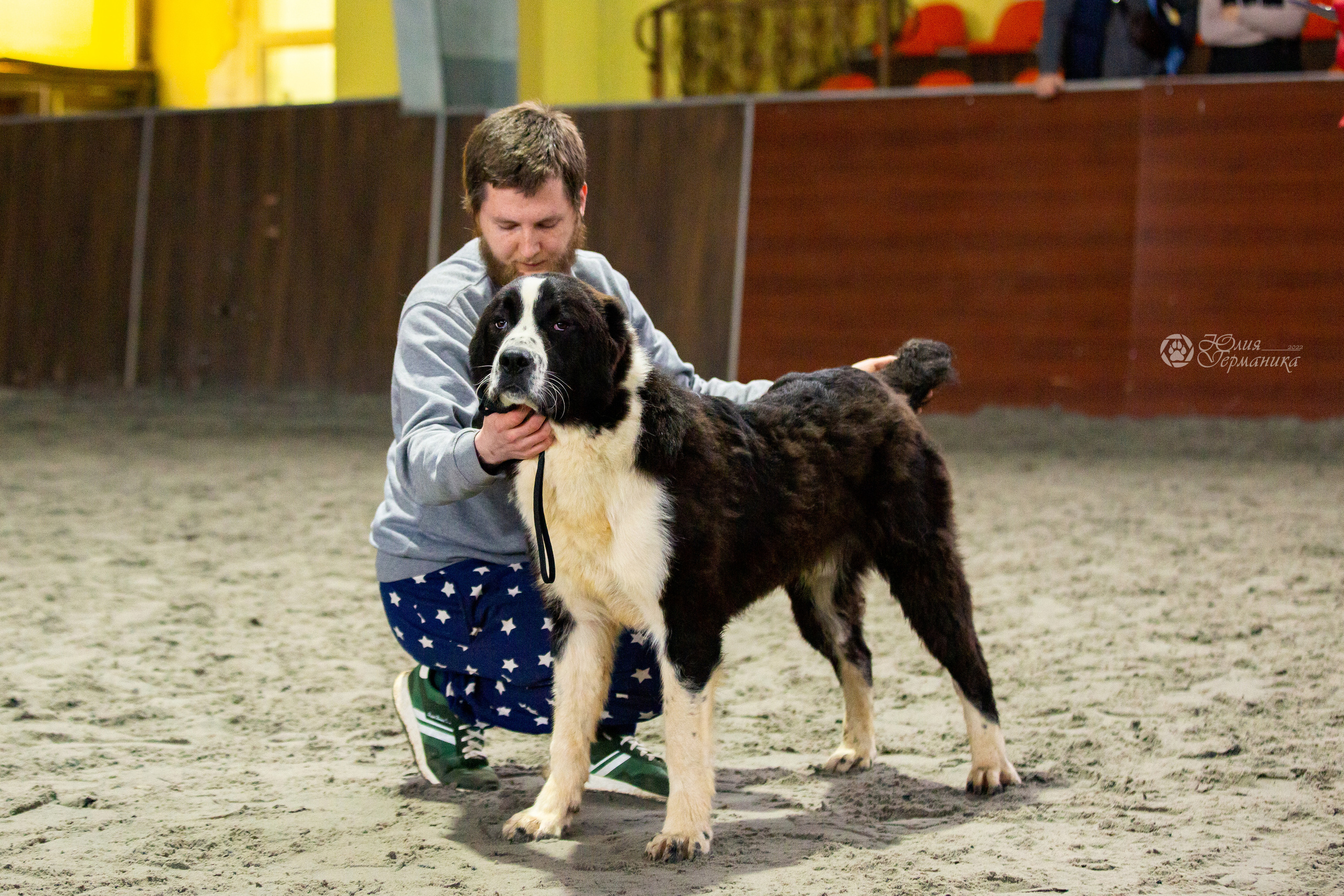 Националка САО+КЧК 24 апреля 2022. Фотограф-анималист Юлия Германика