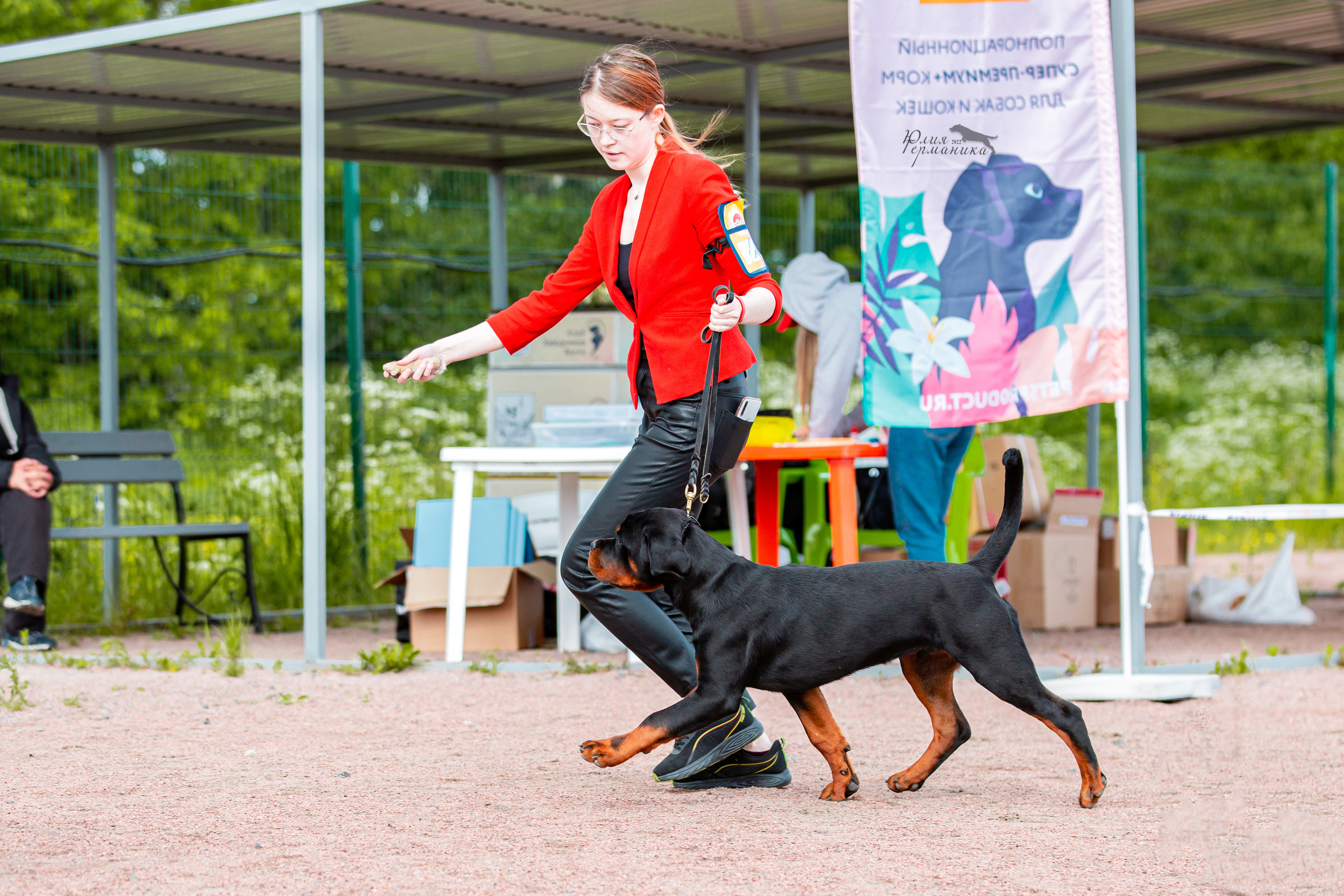 Смоленск 12.06,   Ховрино 13.06,    Питер 18.06 2022. Фотограф-анималист Юлия Германика
