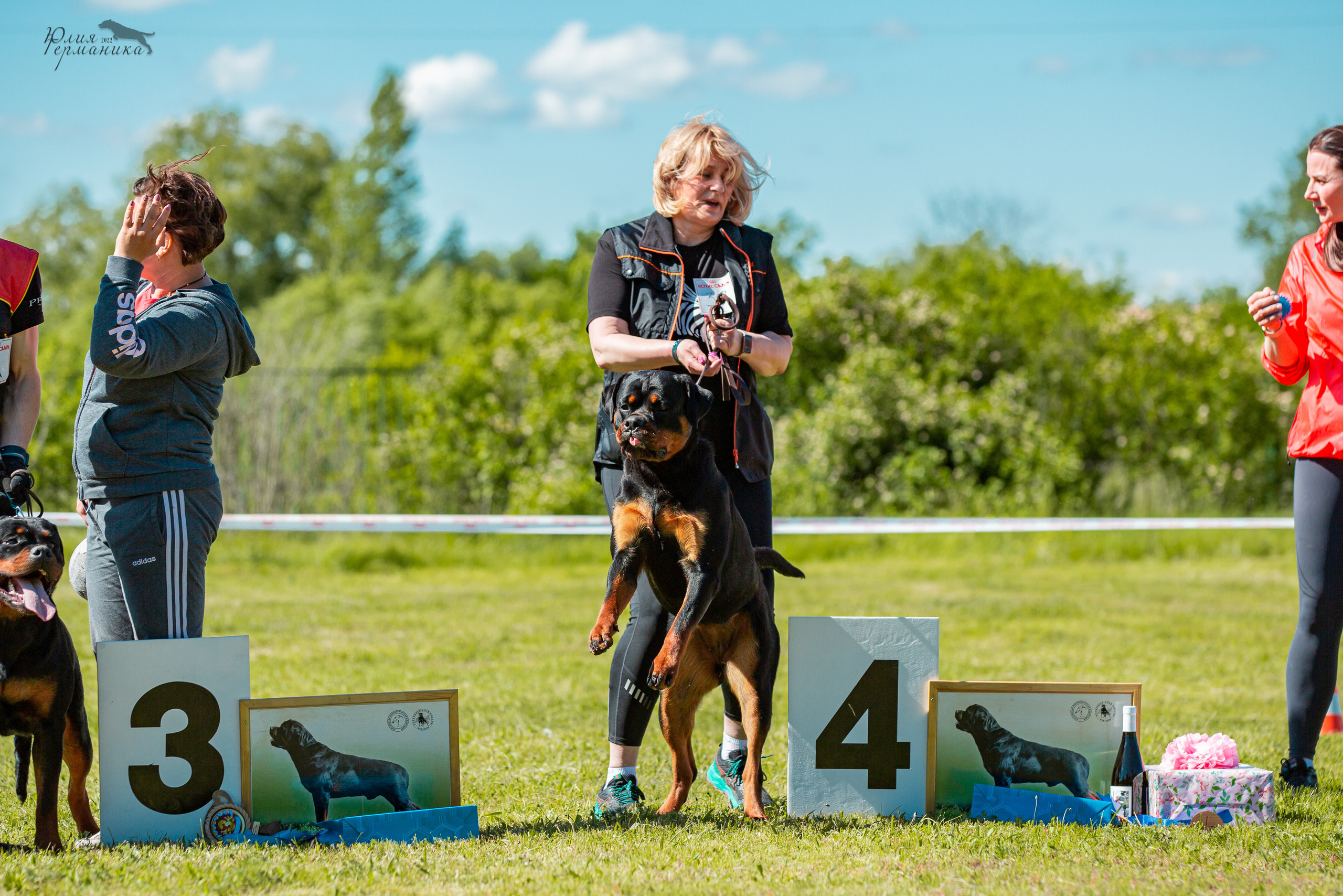 Воронеж моно ротвейлеров 28-29 мая 2022. Фотограф-анималист Юлия Германика