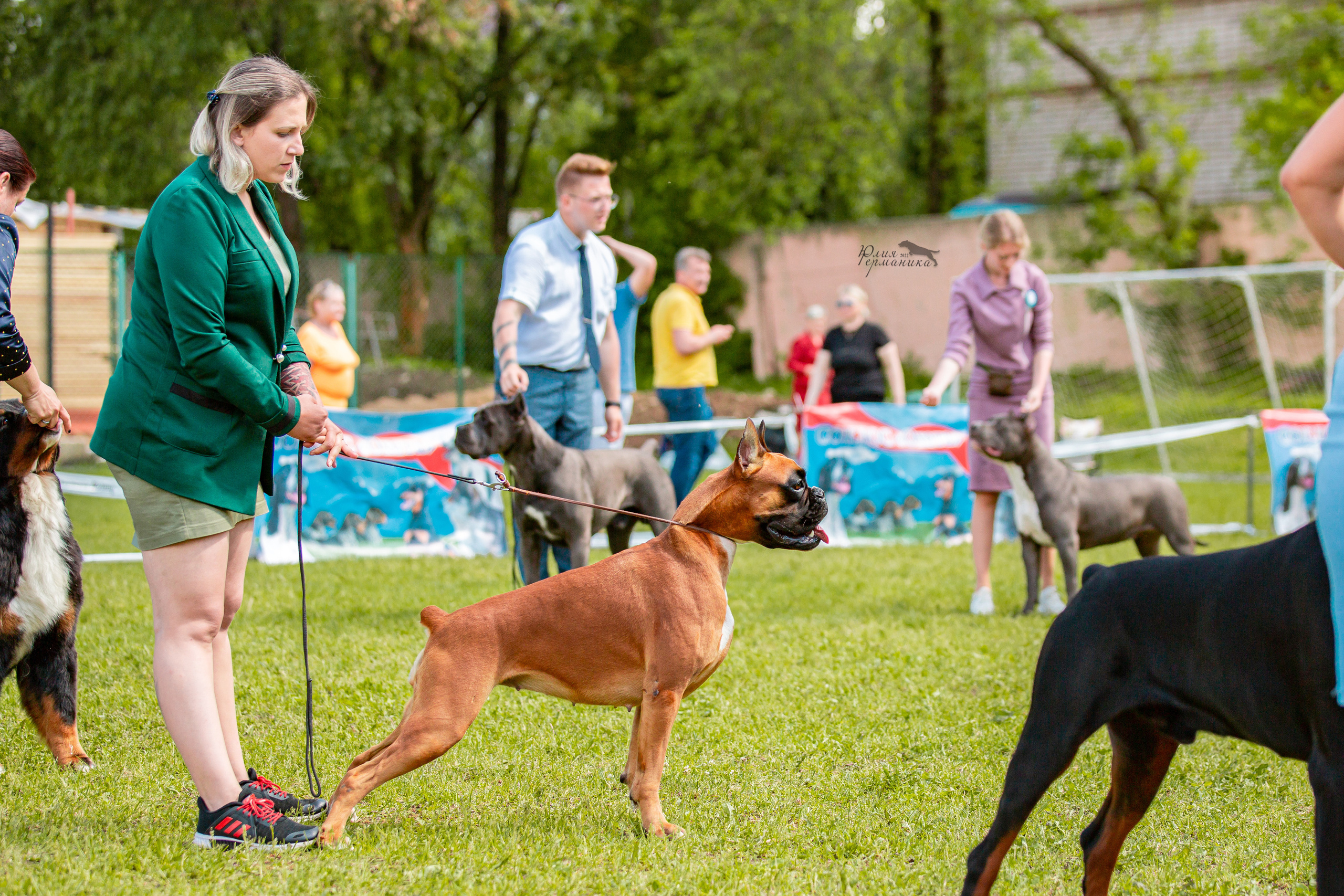 Смоленск 12.06,   Ховрино 13.06,    Питер 18.06 2022. Фотограф-анималист Юлия Германика