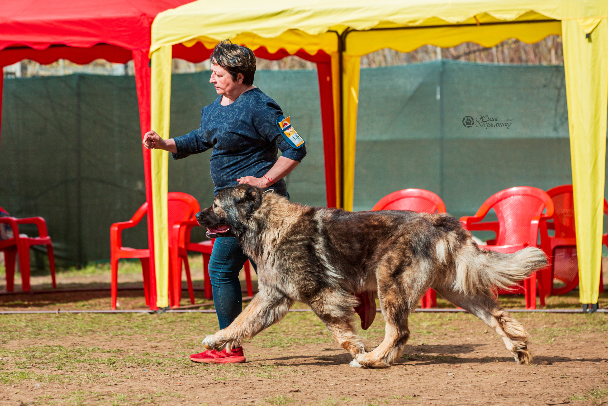 Сокольники 1 мая 2022. Фотограф-анималист Юлия Германика