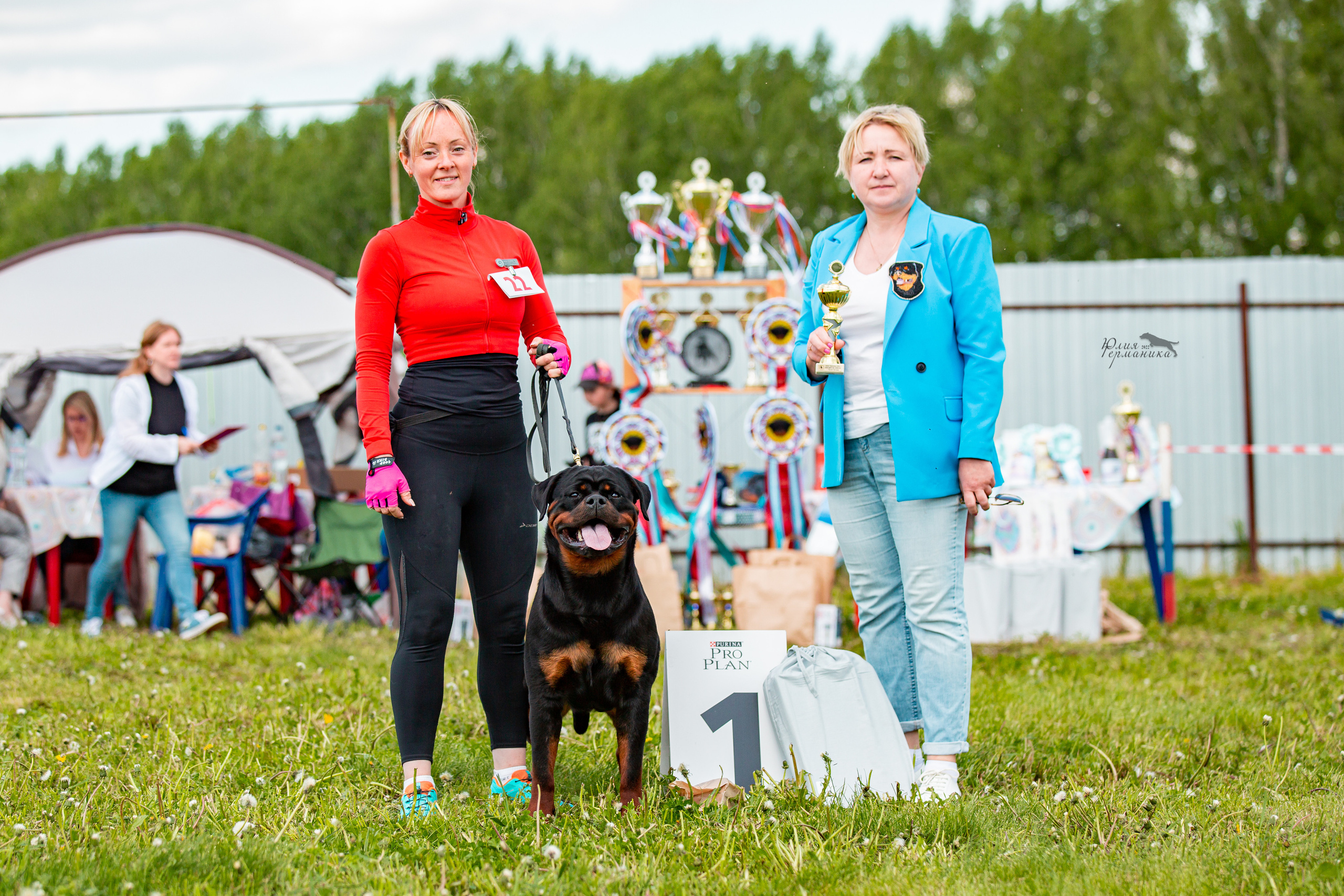 Нижний Новгород моно ротвейлеров 4 июня 2022. Фотограф-анималист Юлия Германика