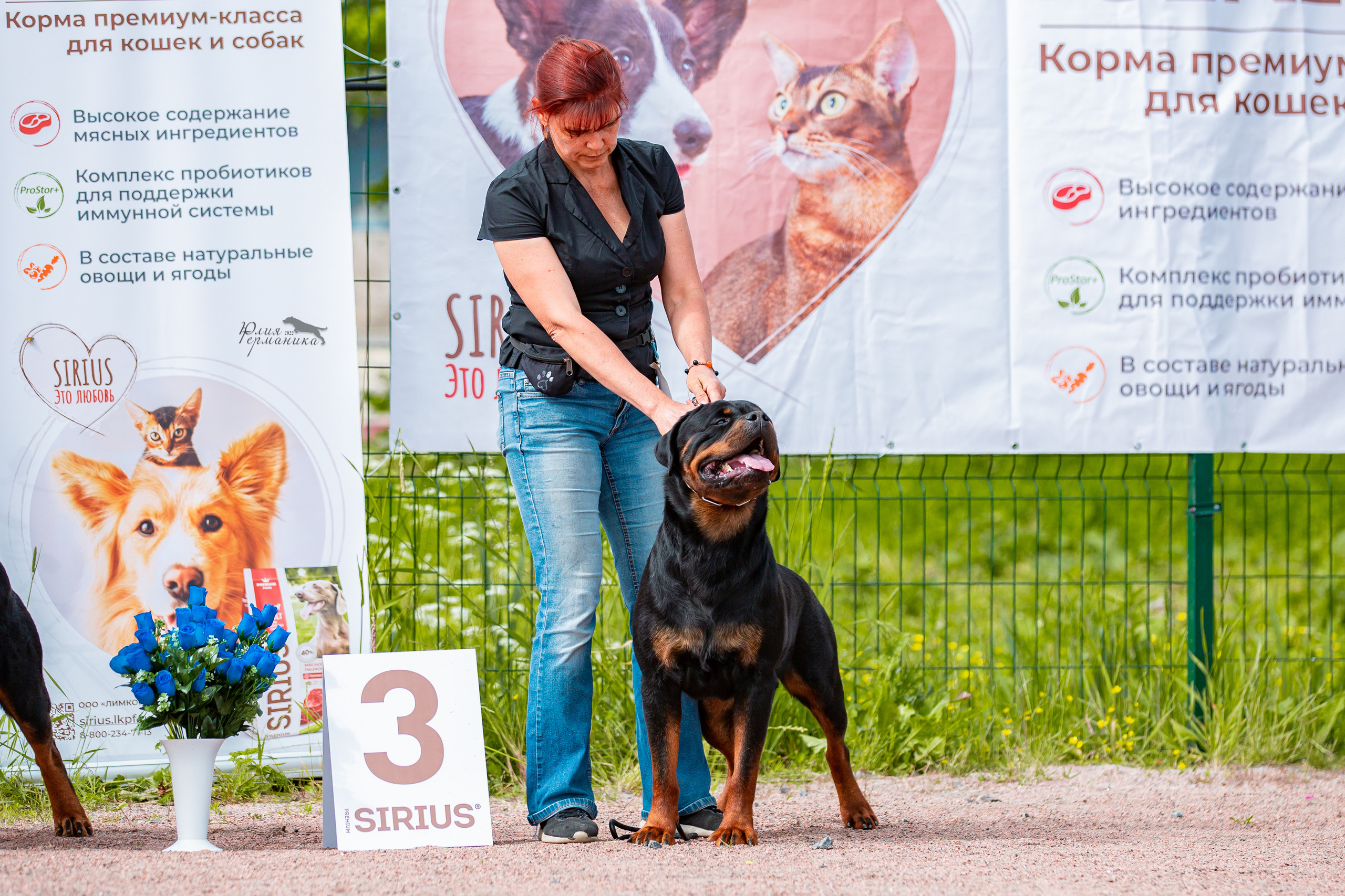 Смоленск 12.06,   Ховрино 13.06,    Питер 18.06 2022. Фотограф-анималист Юлия Германика