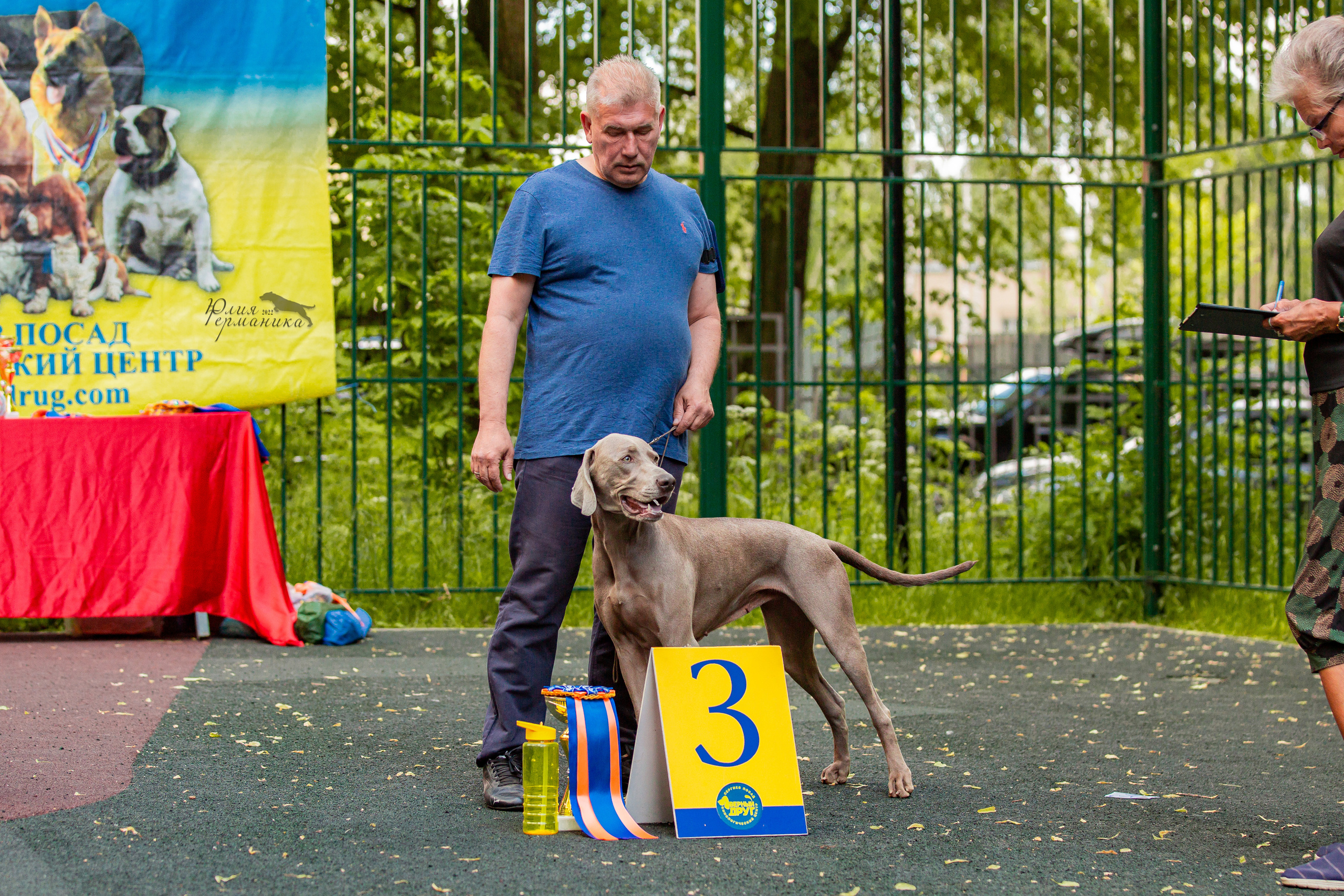 Сергиев Посад 2хСАС 25.06.2022. Фотограф-анималист Юлия Германика