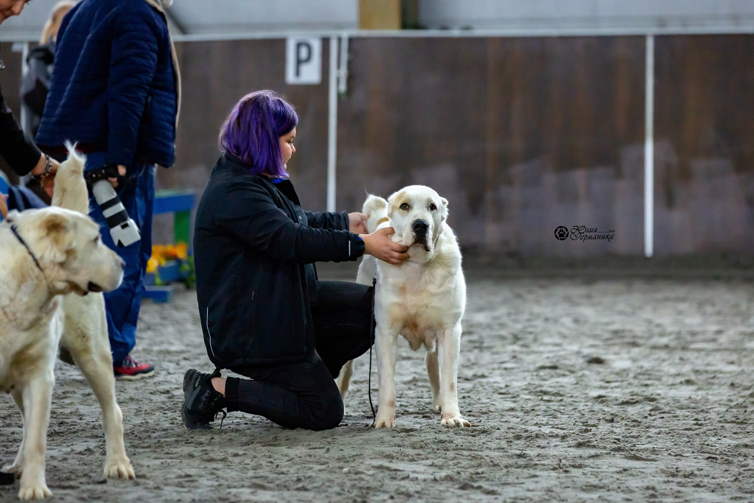 Националка САО+КЧК 24 апреля 2022. Фотограф-анималист Юлия Германика