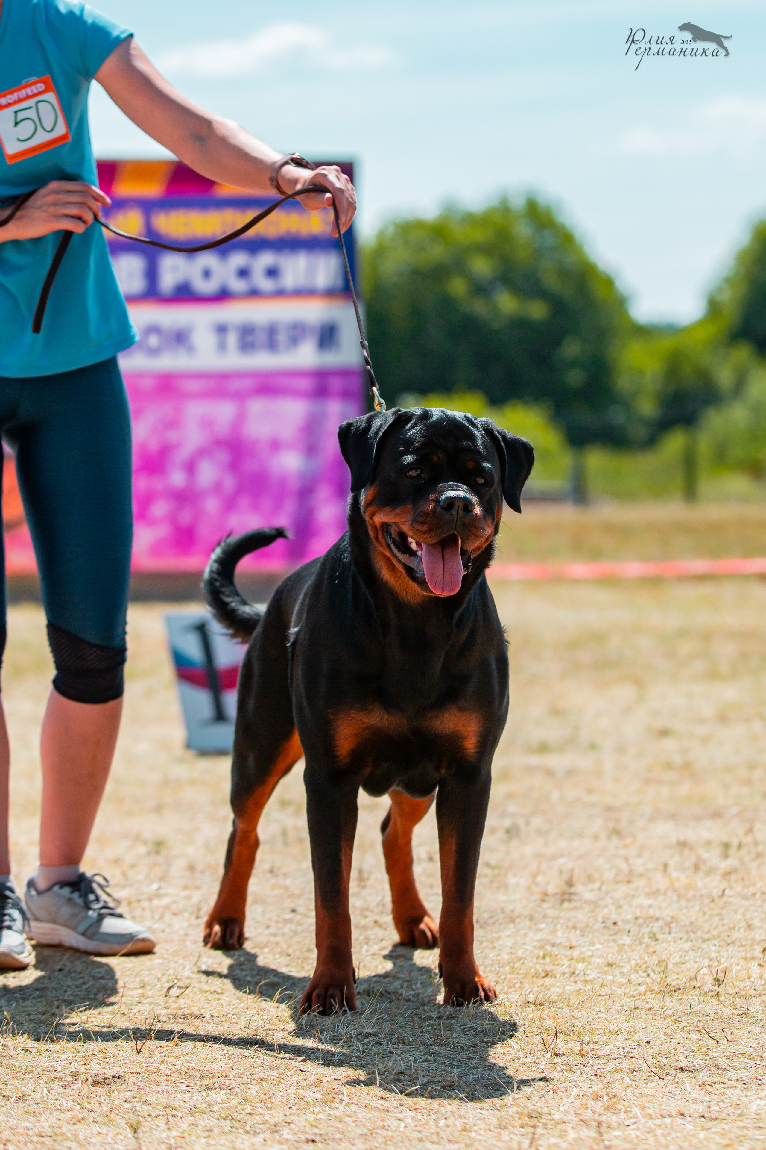 Тверь моно ротвейлеров 2-3.07.2022. Фотограф-анималист Юлия Германика