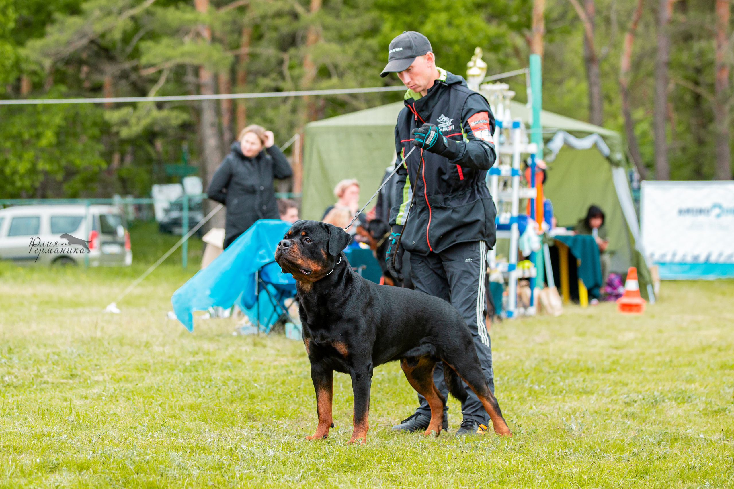 Воронеж моно ротвейлеров 28-29 мая 2022. Фотограф-анималист Юлия Германика