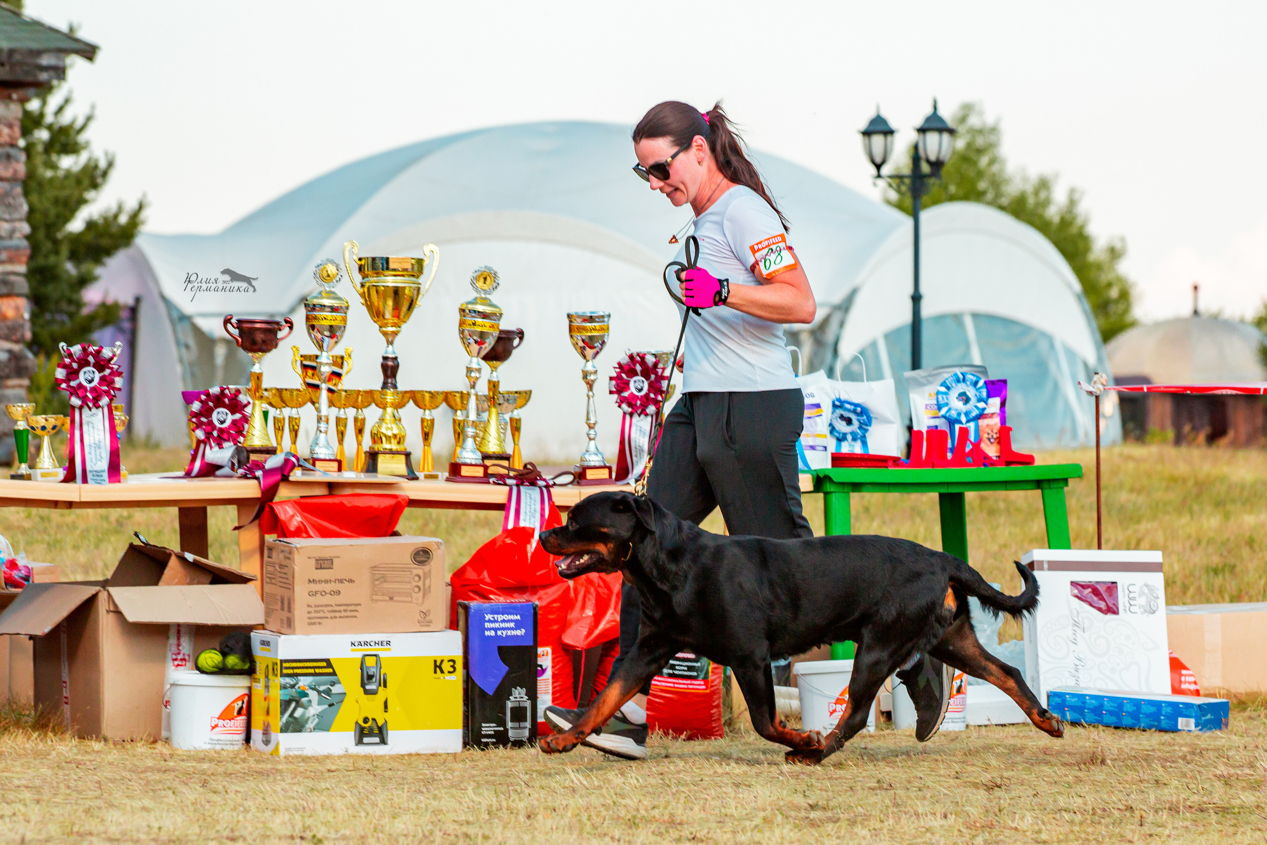 Тверь моно ротвейлеров 2-3.07.2022. Фотограф-анималист Юлия Германика