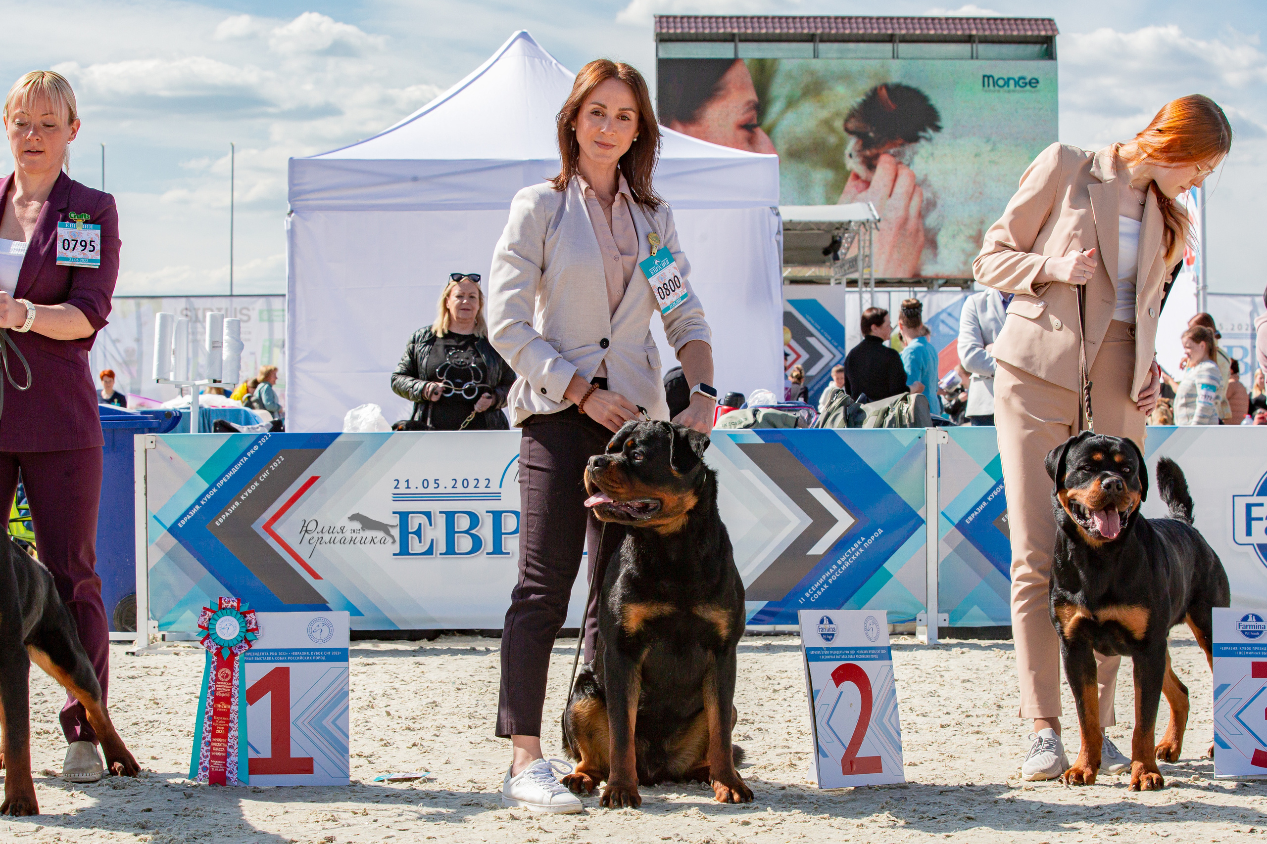 Евразия 21-22 мая 2022. Фотограф-анималист Юлия Германика