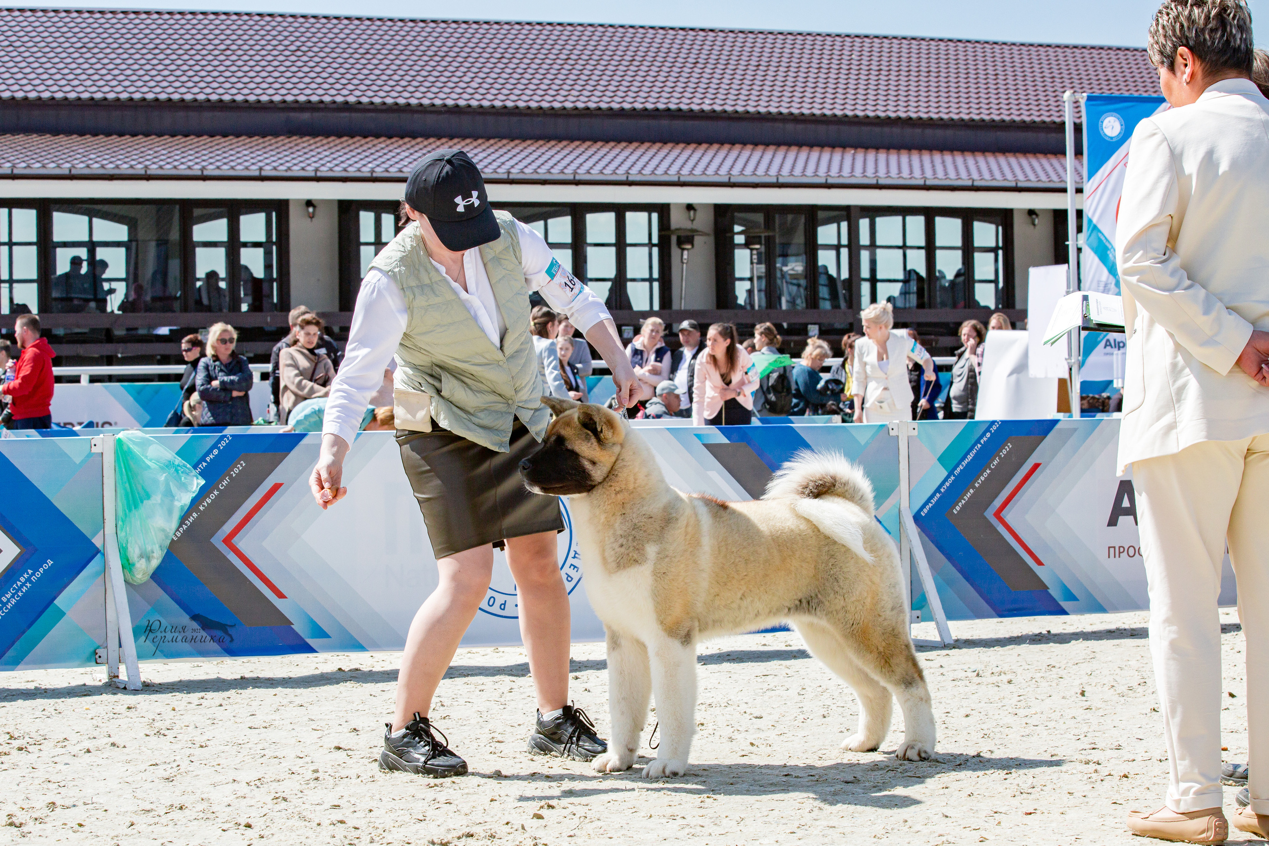 Евразия 21-22 мая 2022. Фотограф-анималист Юлия Германика