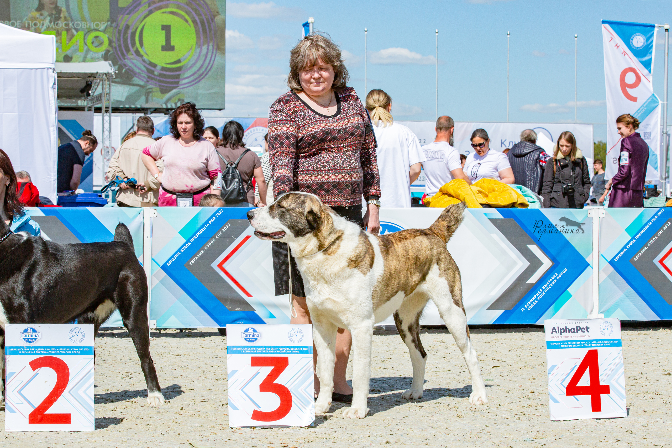 Евразия 21-22 мая 2022. Фотограф-анималист Юлия Германика