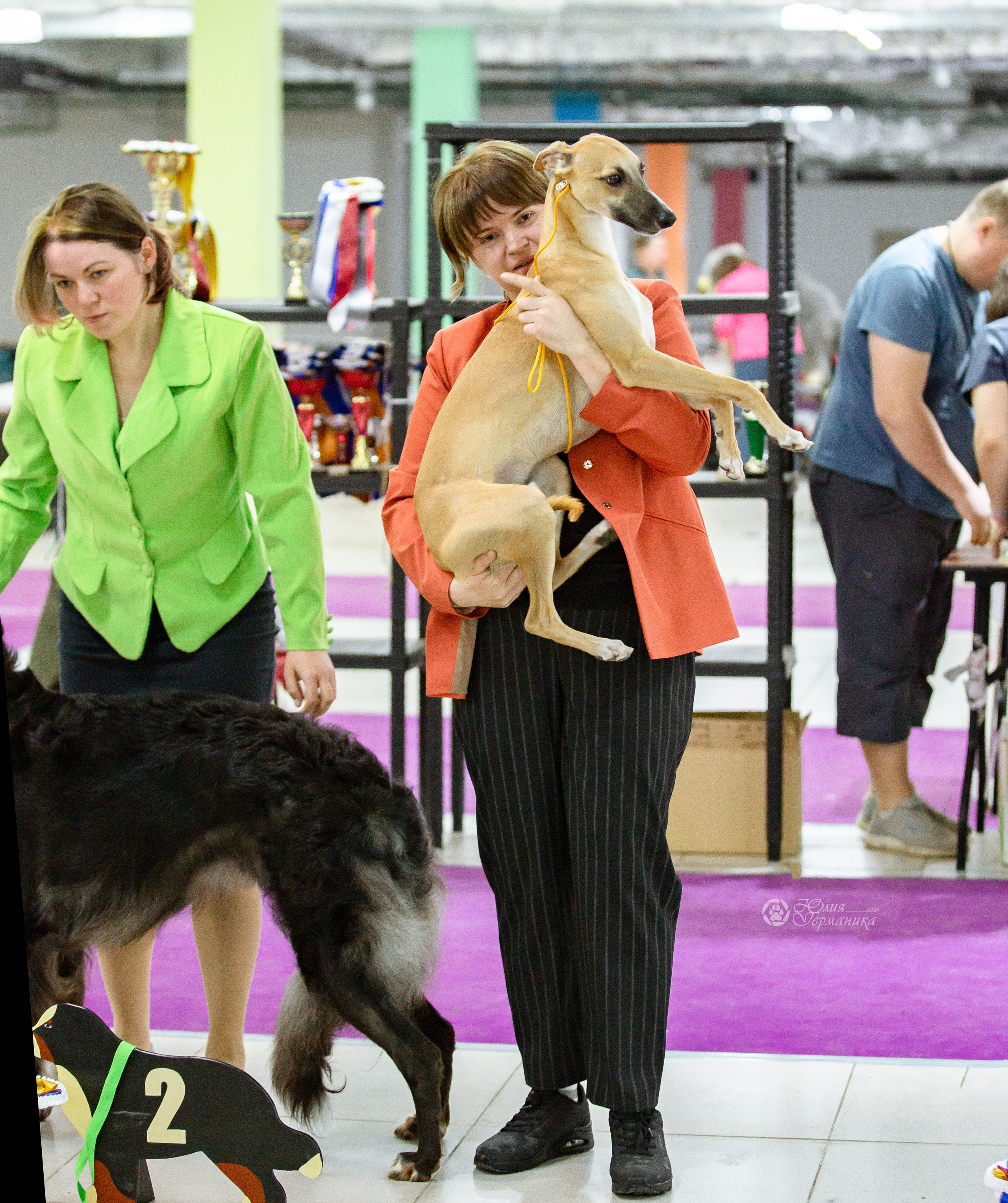 Чайна-Таун 16-17 апреля 2022. Фотограф-анималист Юлия Германика