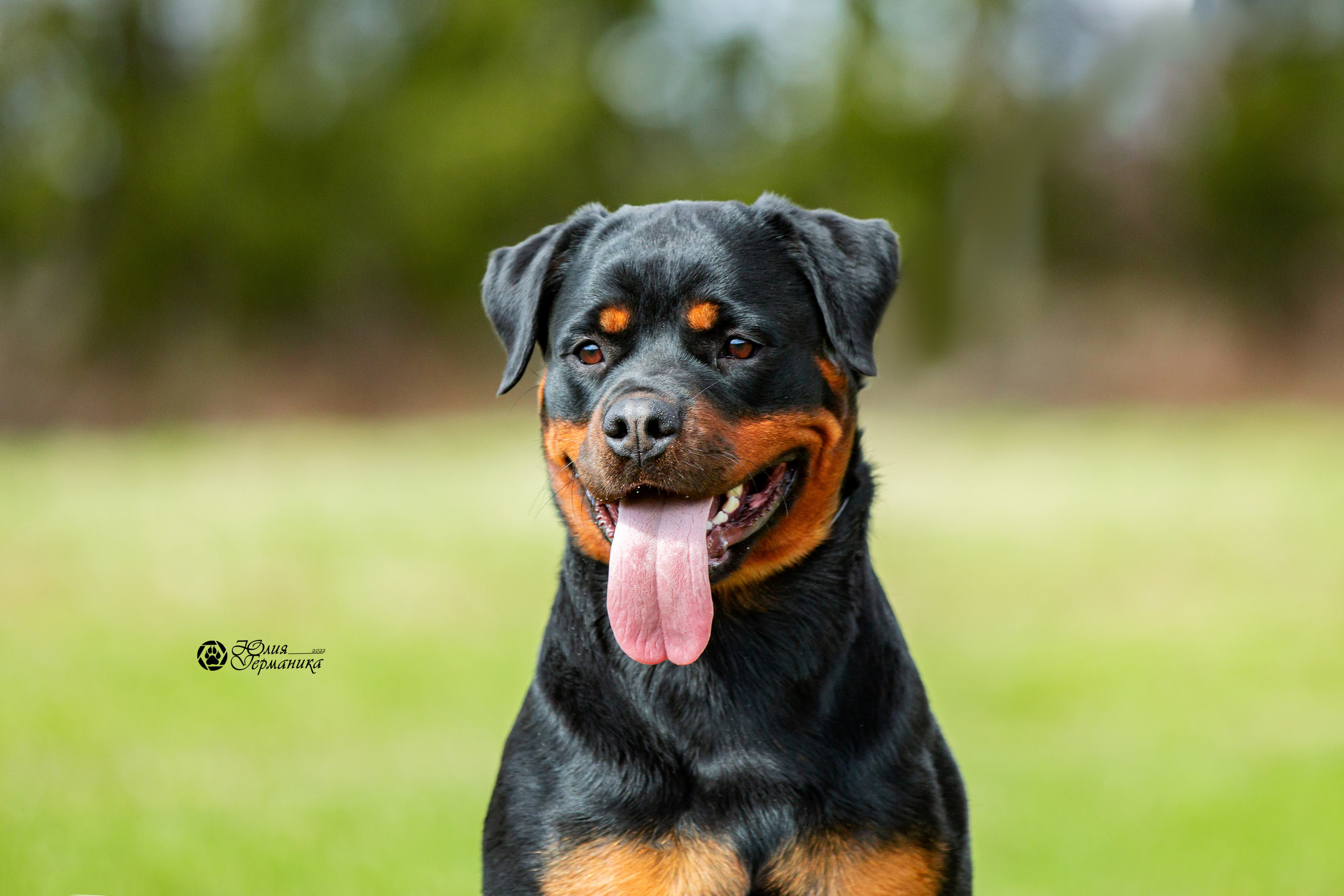 Свободная съемка. Фотограф-анималист Юлия Германика