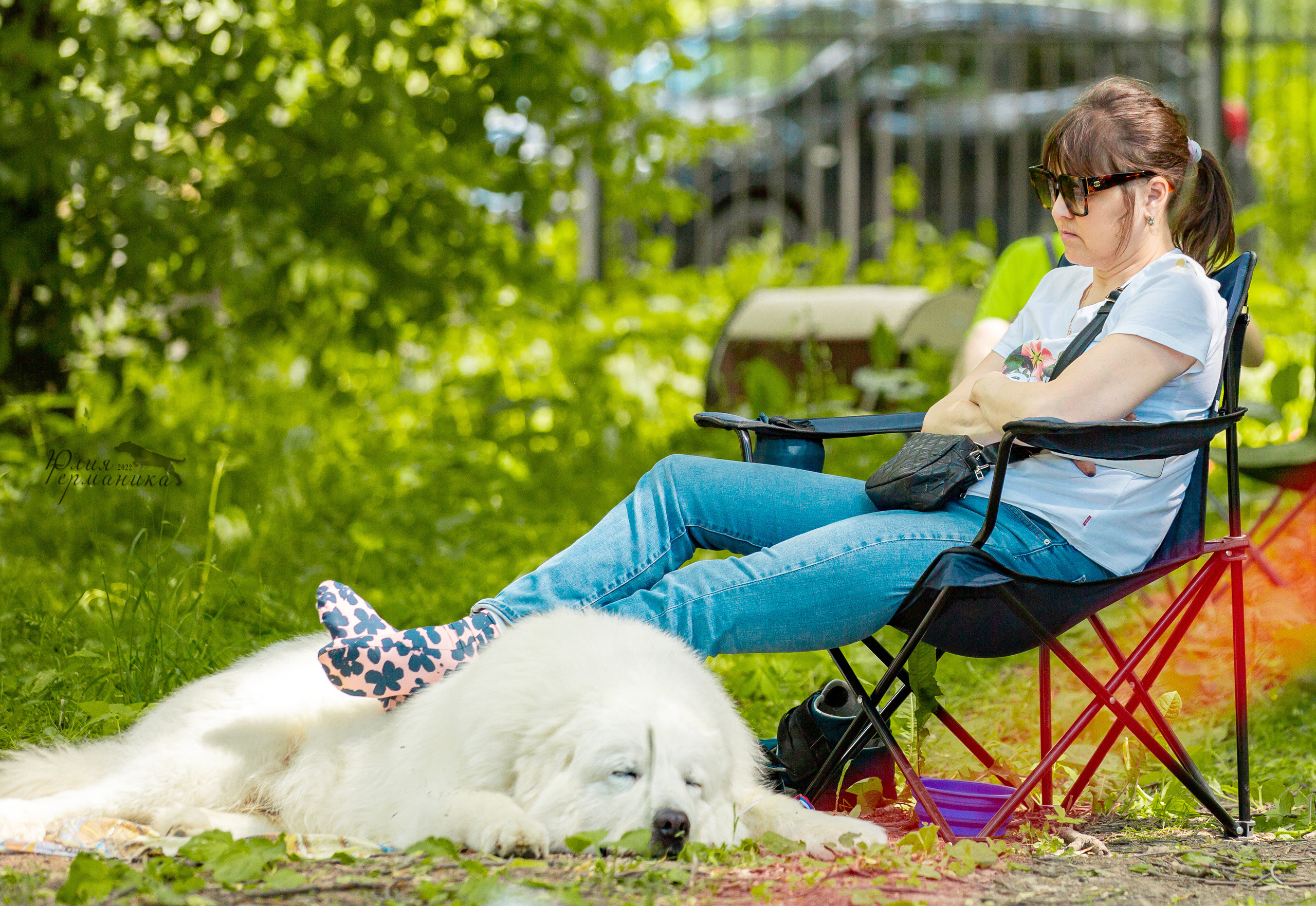 Сергиев Посад 2хСАС 25.06.2022. Фотограф-анималист Юлия Германика