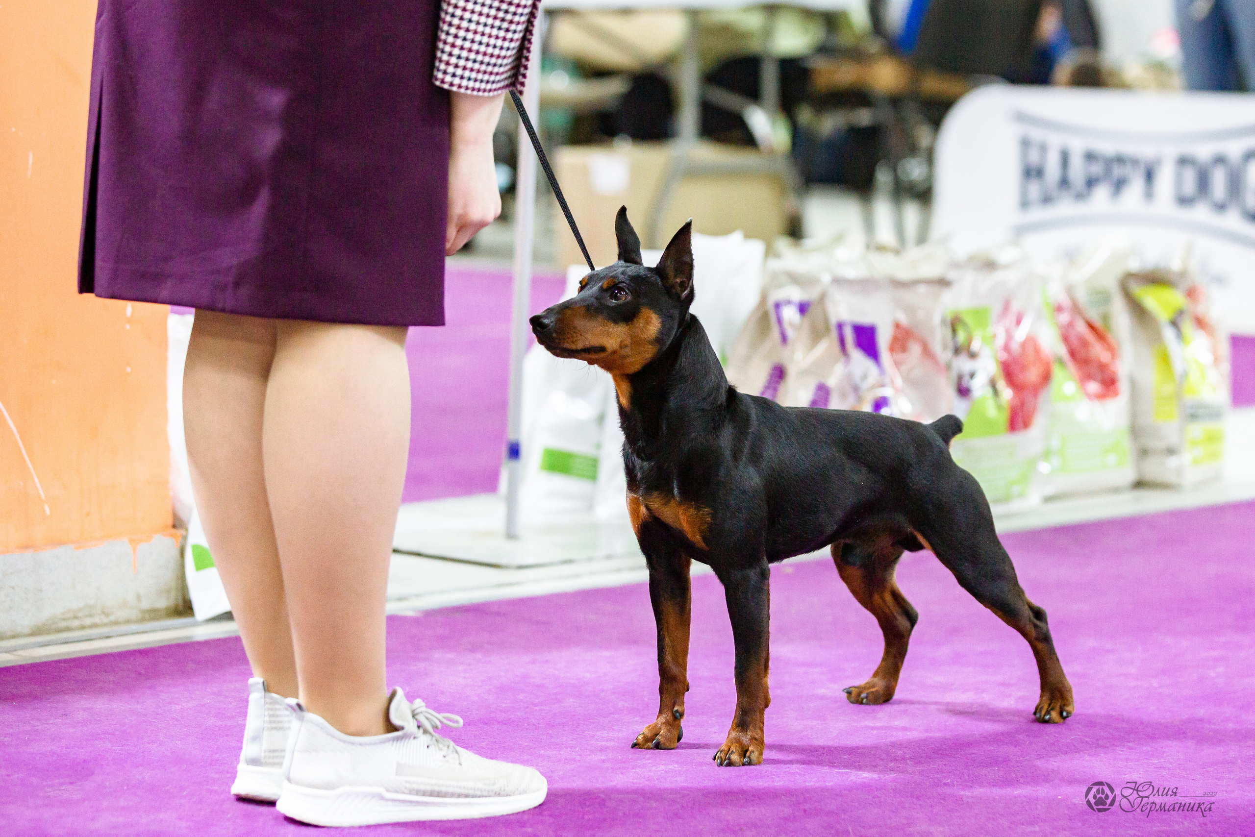 Чайна-Таун 16-17 апреля 2022. Фотограф-анималист Юлия Германика