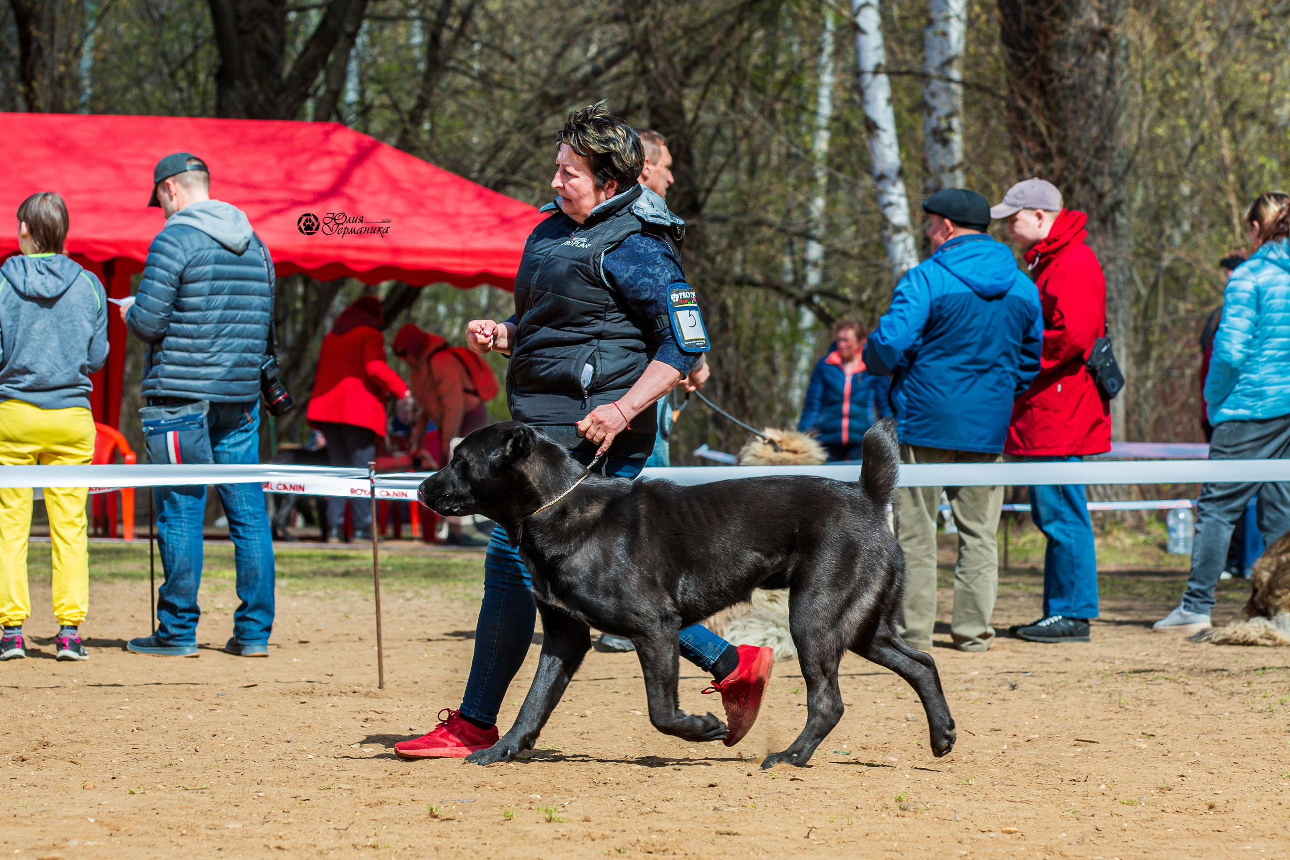 Сокольники 1 мая 2022. Фотограф-анималист Юлия Германика