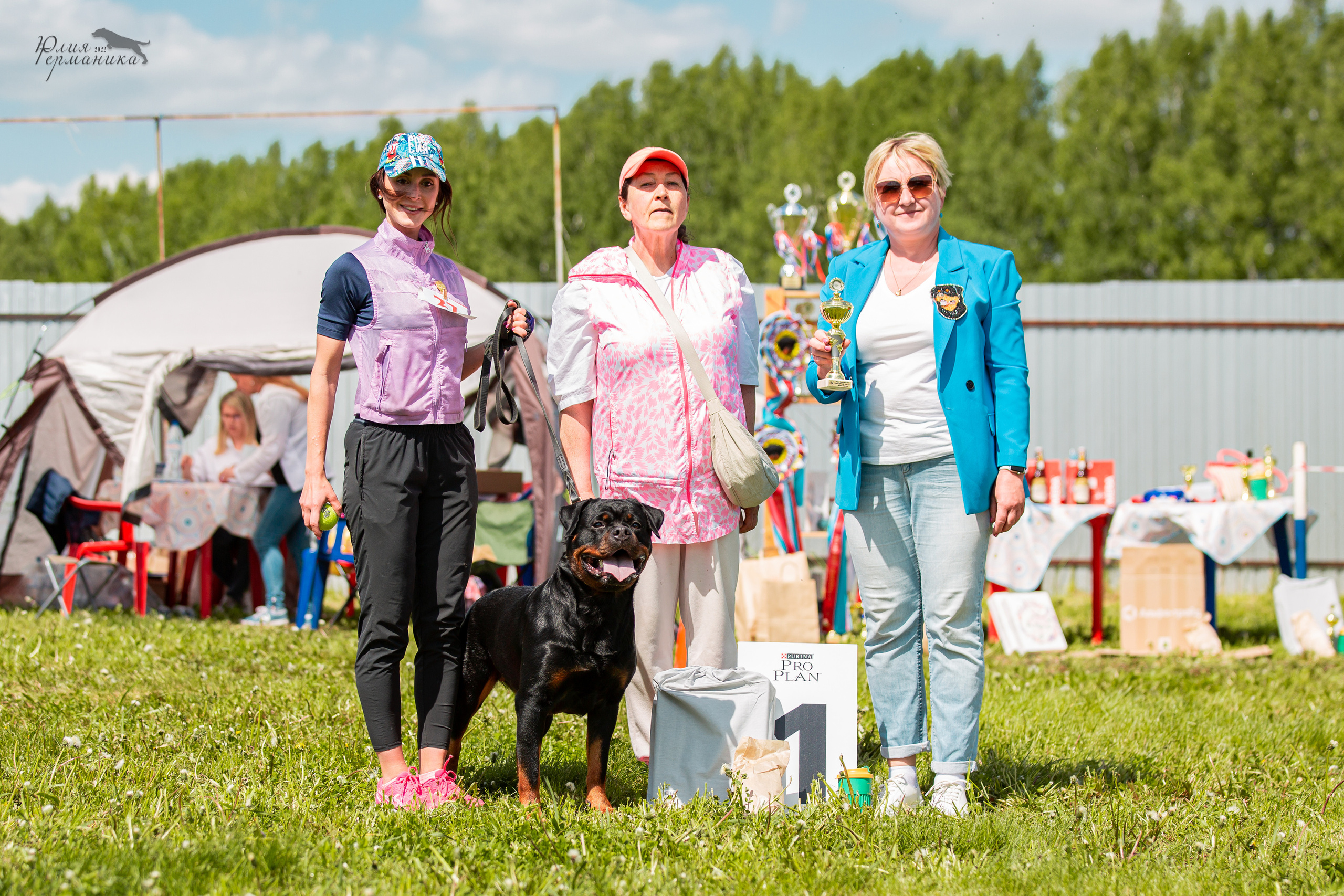 Нижний Новгород моно ротвейлеров 4 июня 2022. Фотограф-анималист Юлия Германика