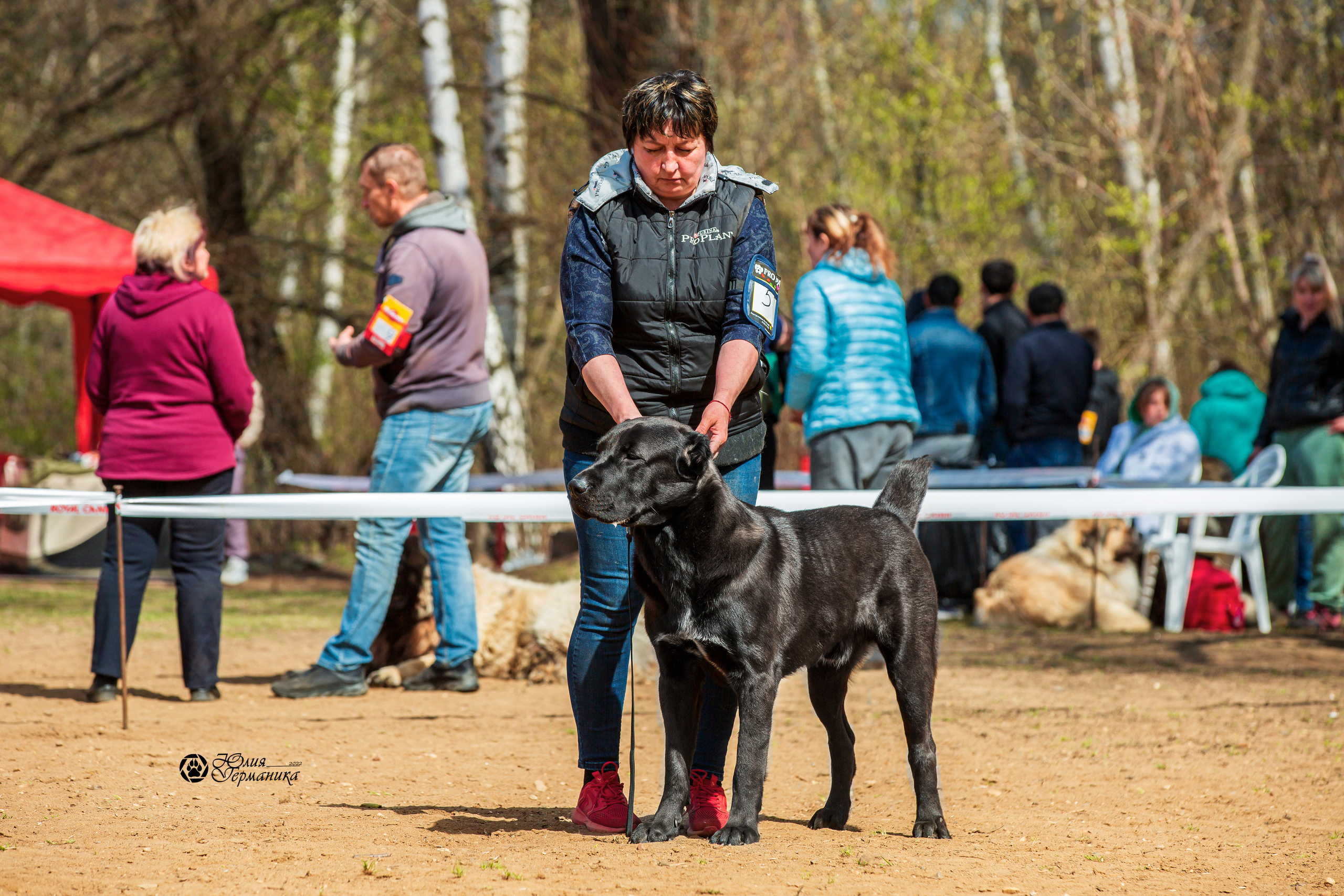 Сокольники 1 мая 2022. Фотограф-анималист Юлия Германика