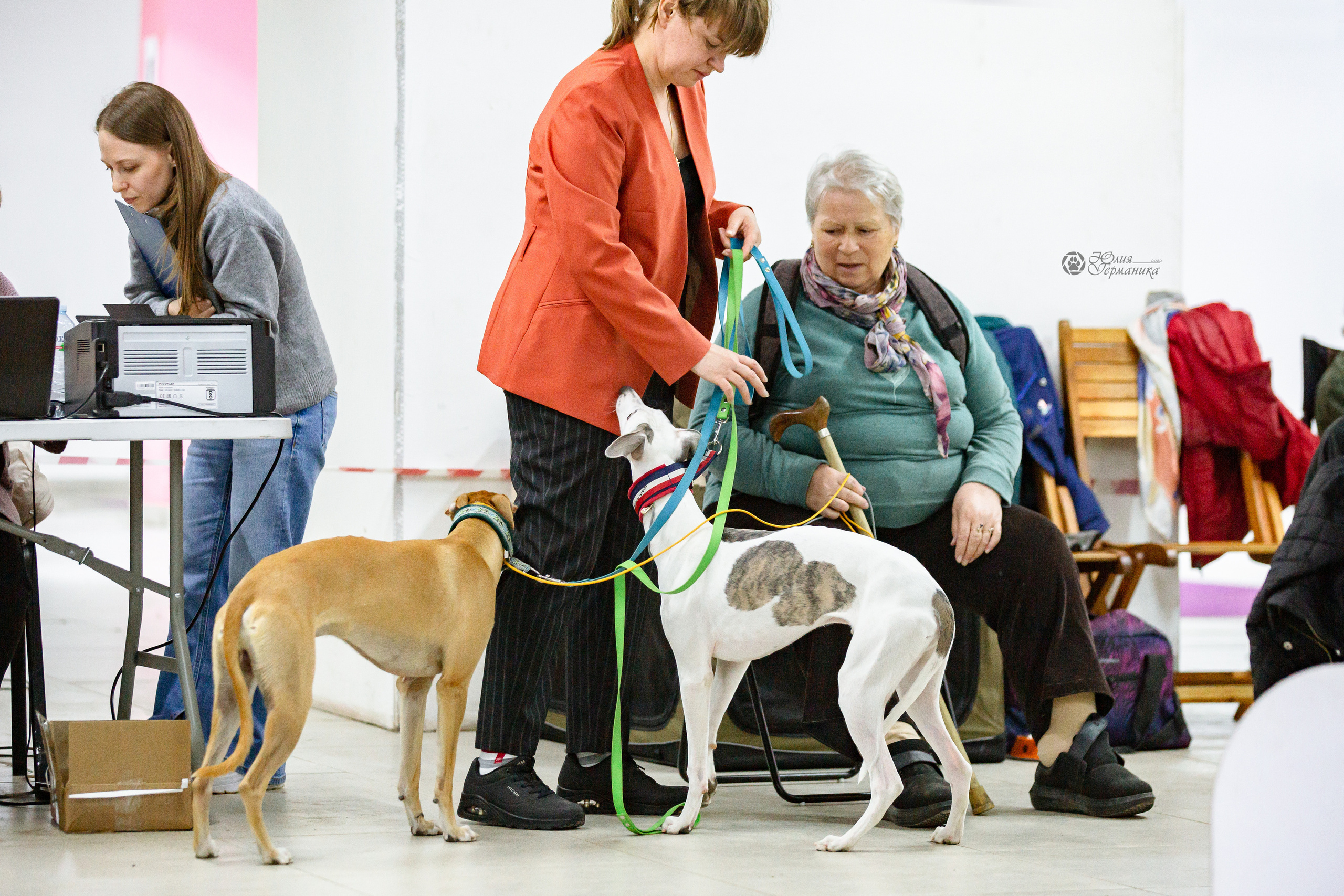 Чайна-Таун 16-17 апреля 2022. Фотограф-анималист Юлия Германика