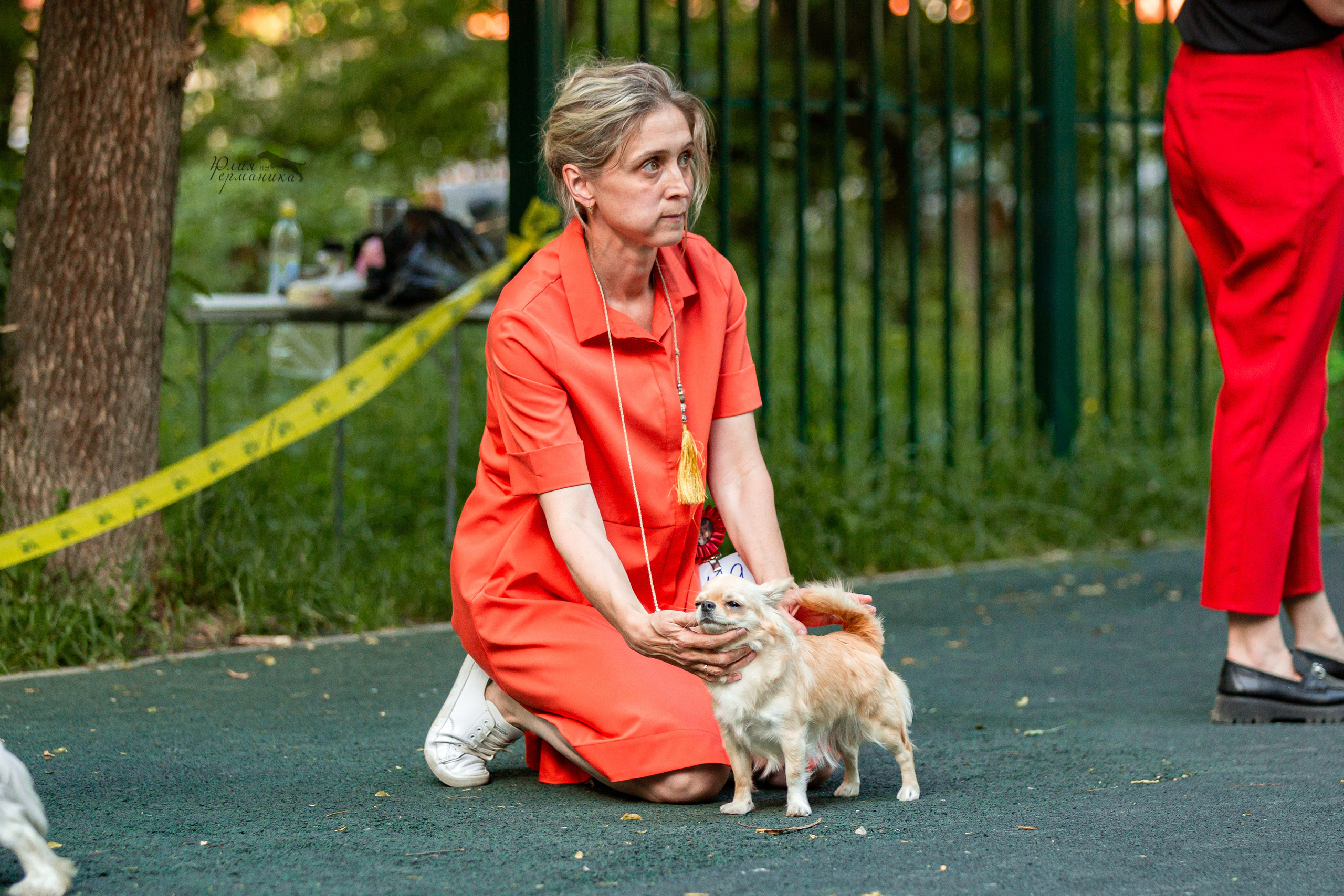 Сергиев Посад 2хСАС 25.06.2022. Фотограф-анималист Юлия Германика