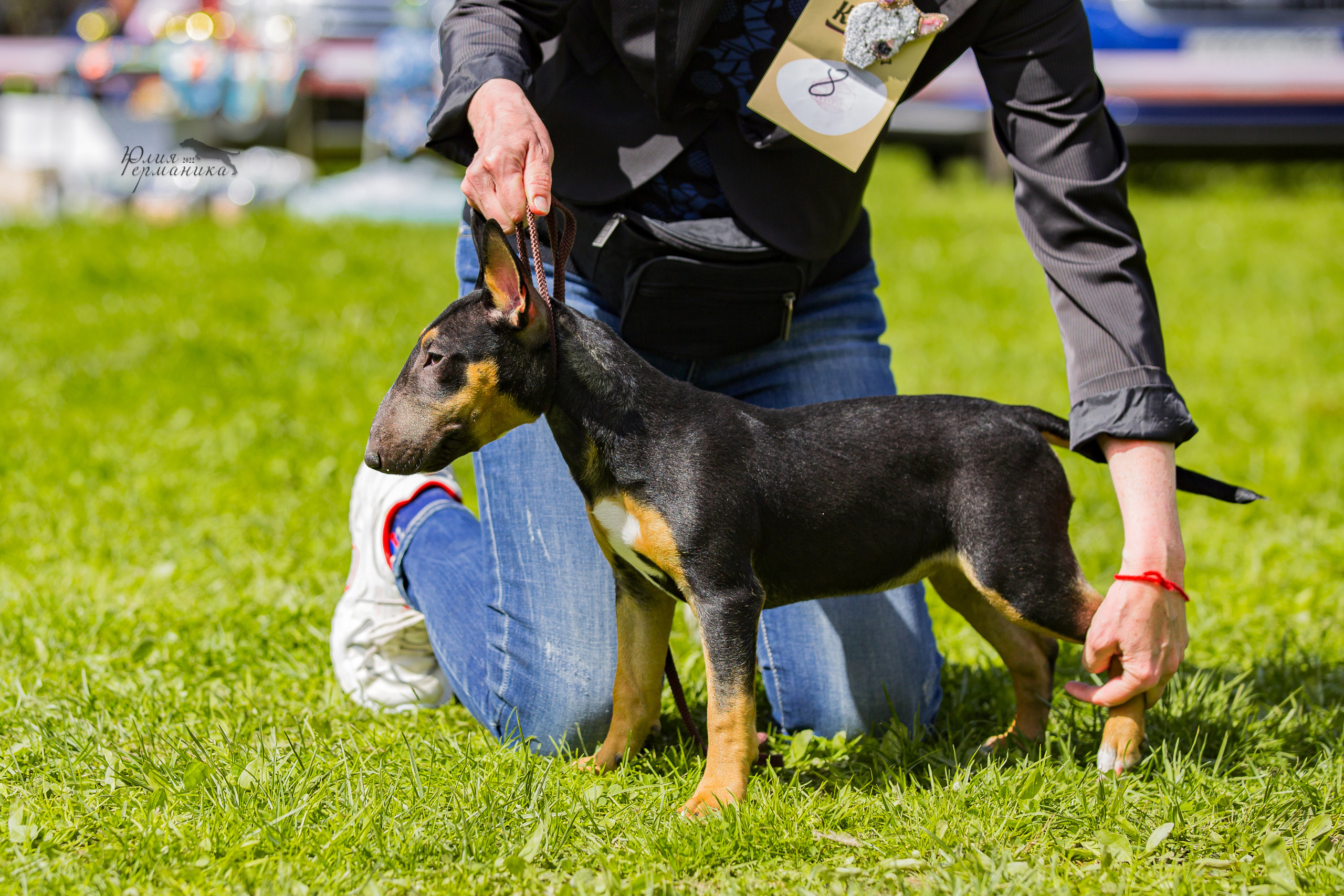 Пушкино 2хЧРКФ 14 мая 2022. Фотограф-анималист Юлия Германика