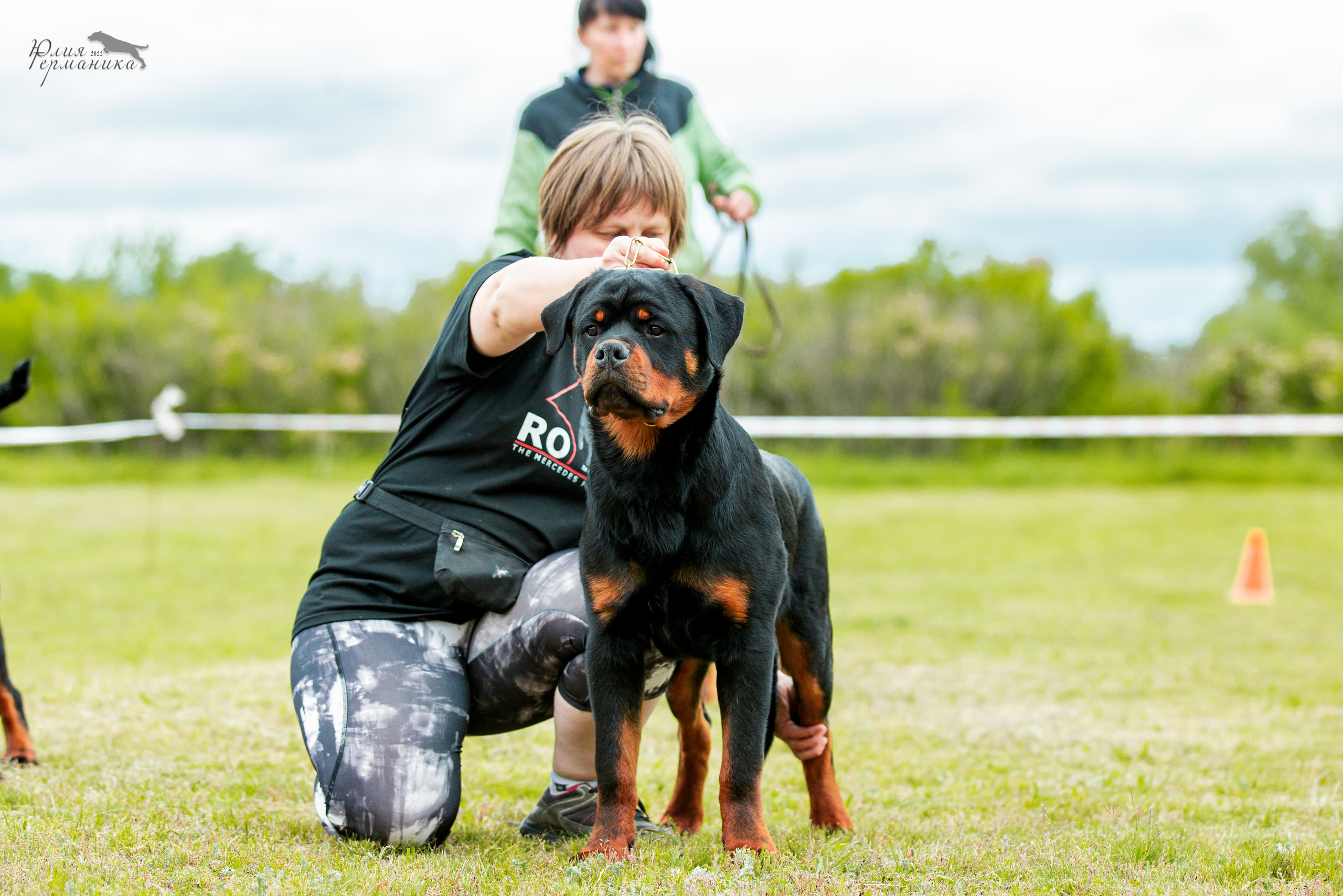 Воронеж моно ротвейлеров 28-29 мая 2022. Фотограф-анималист Юлия Германика