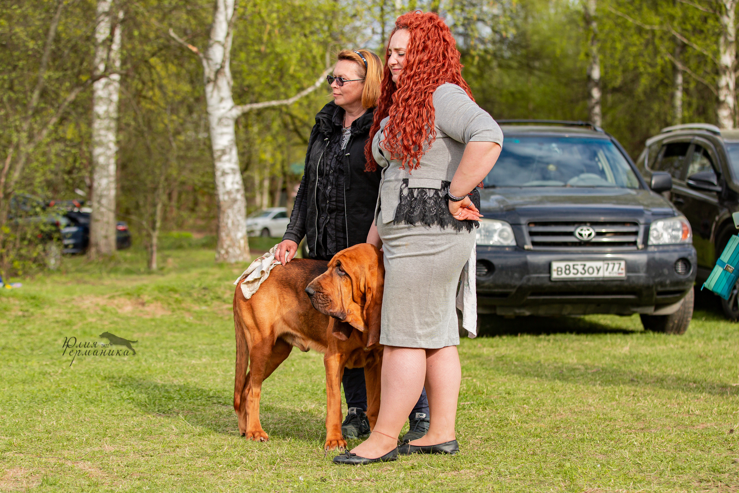 Пушкино 2хЧРКФ 14 мая 2022. Фотограф-анималист Юлия Германика