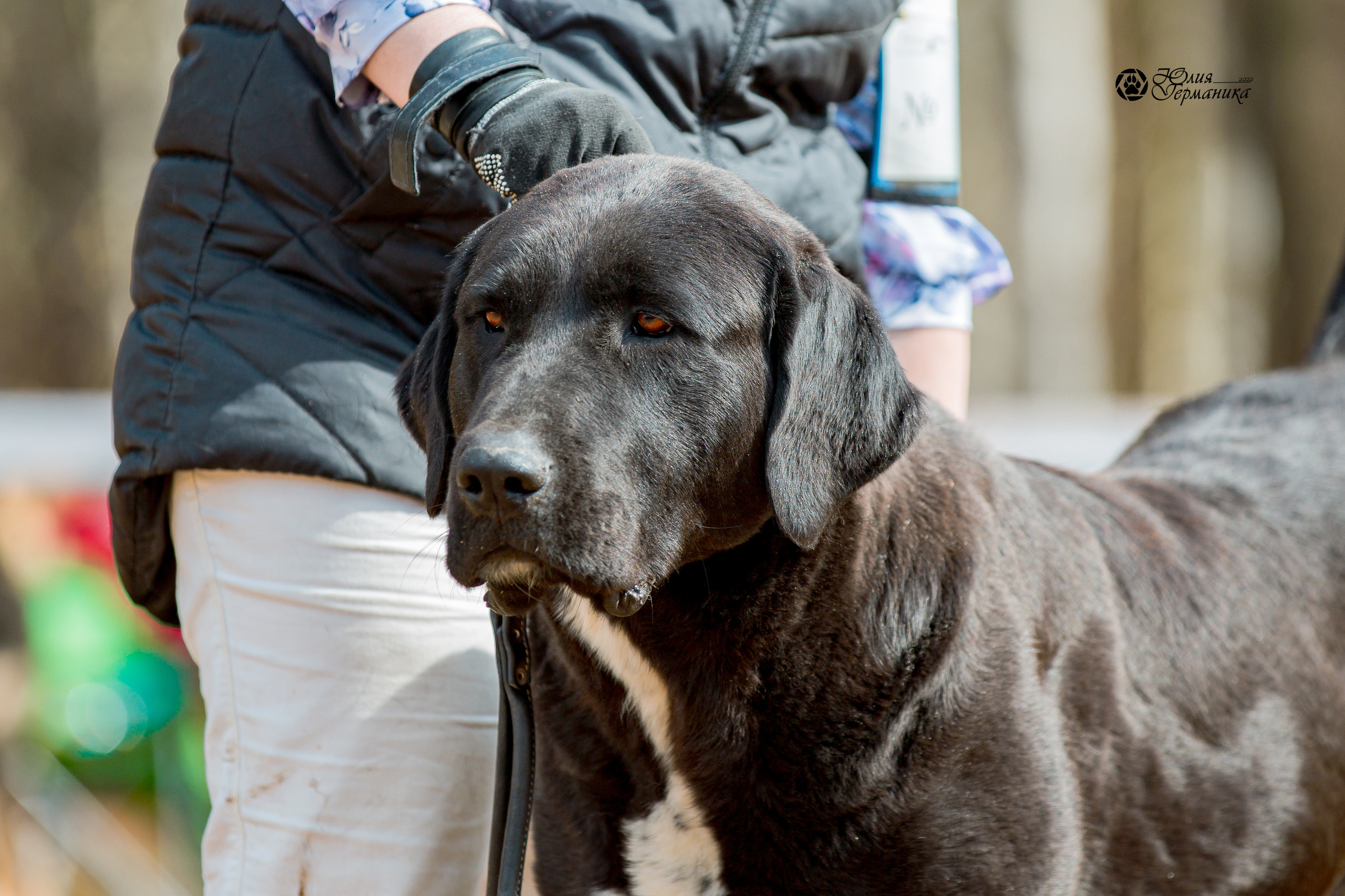 Сокольники 1 мая 2022. Фотограф-анималист Юлия Германика