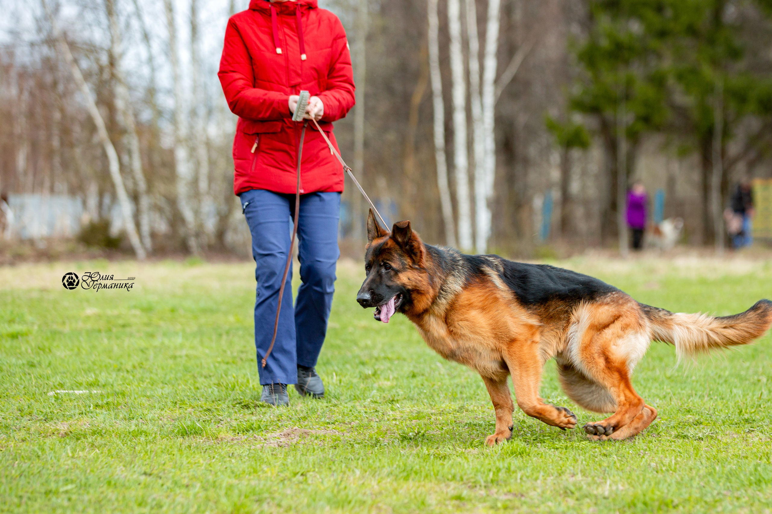 Свободная съемка. Фотограф-анималист Юлия Германика