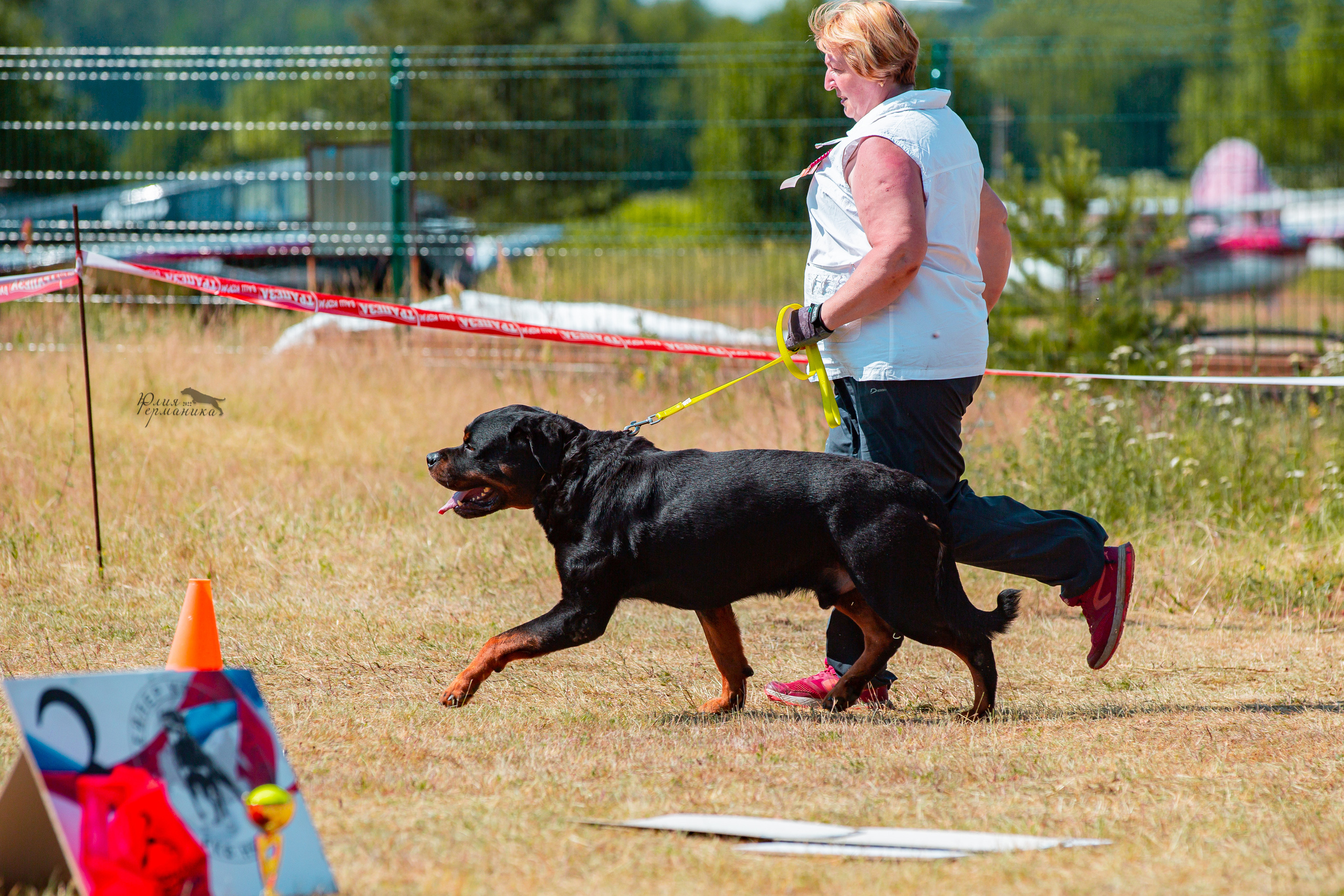 Тверь моно ротвейлеров 2-3.07.2022. Фотограф-анималист Юлия Германика