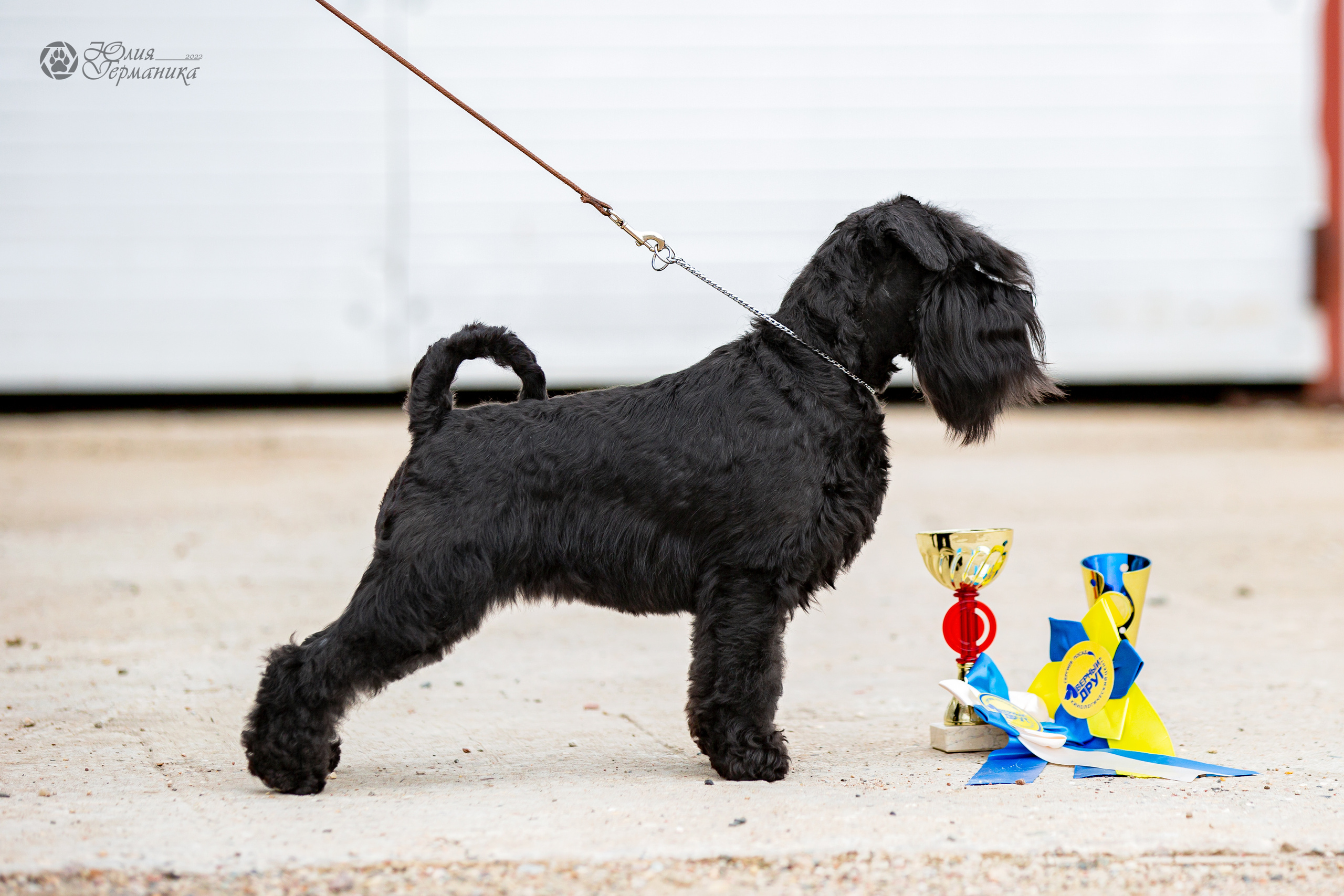 Сергиев Посад 23.04.2022. Фотограф-анималист Юлия Германика