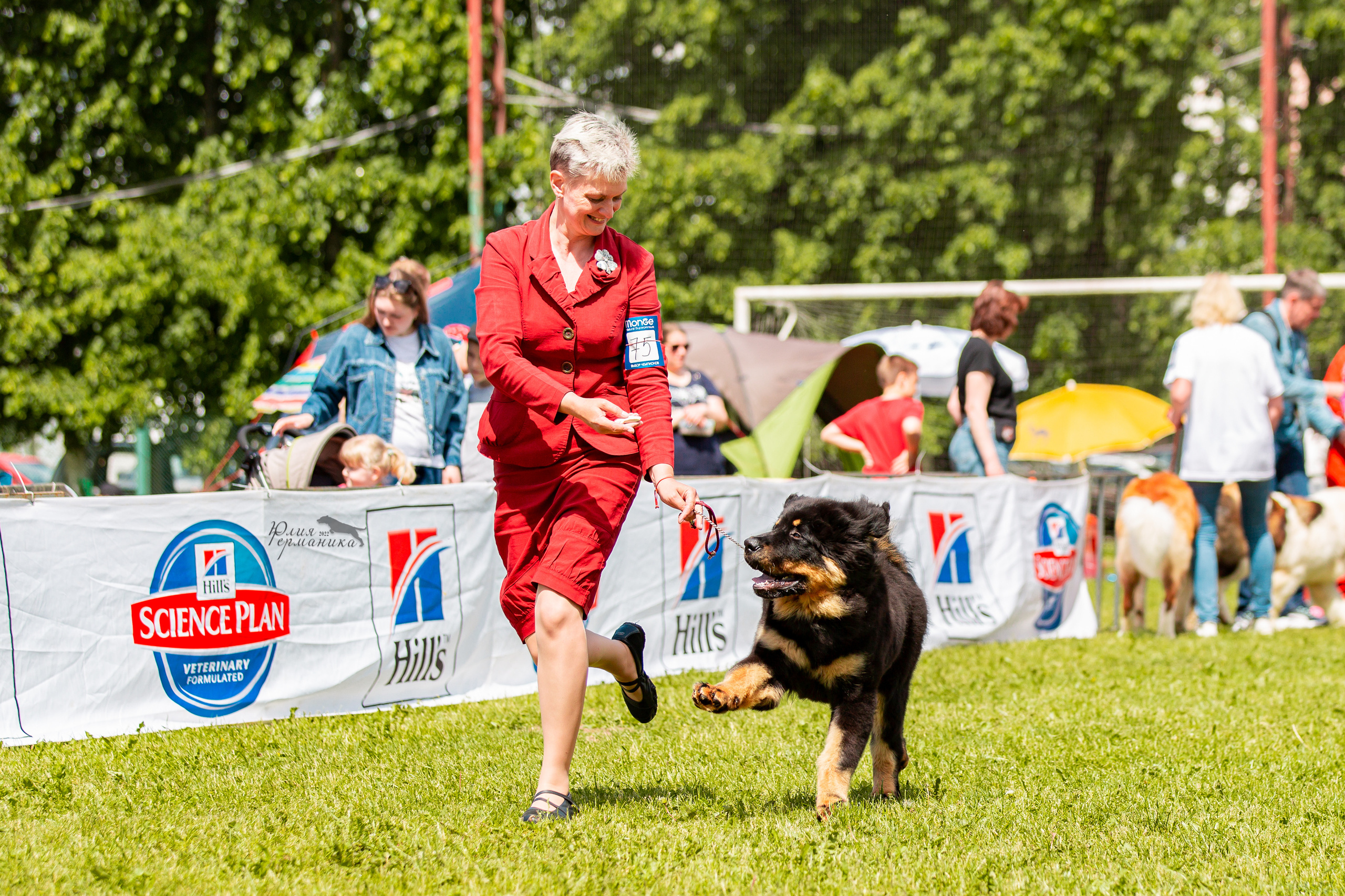 Смоленск 12.06,   Ховрино 13.06,    Питер 18.06 2022. Фотограф-анималист Юлия Германика