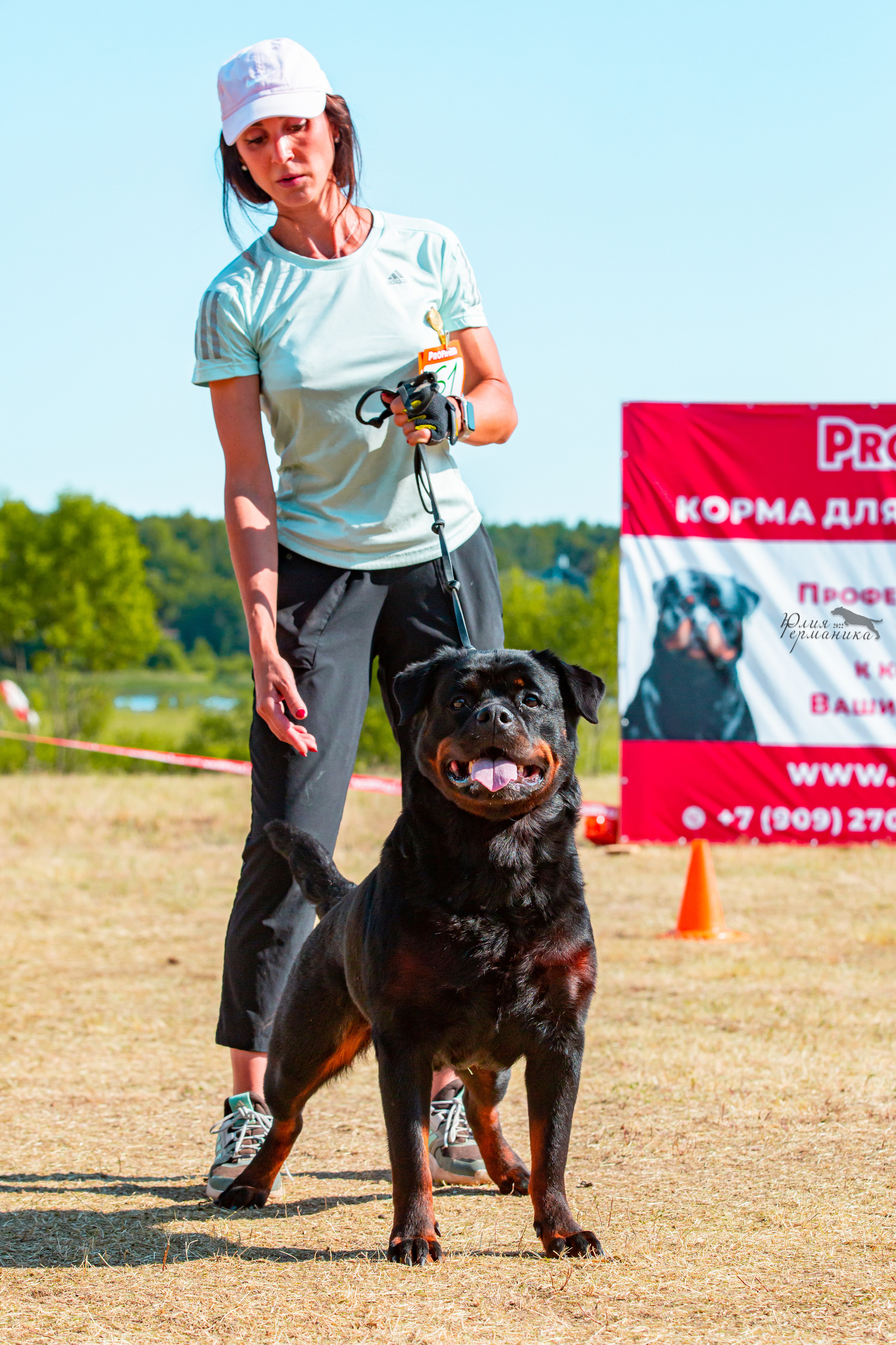 Тверь моно ротвейлеров 2-3.07.2022. Фотограф-анималист Юлия Германика