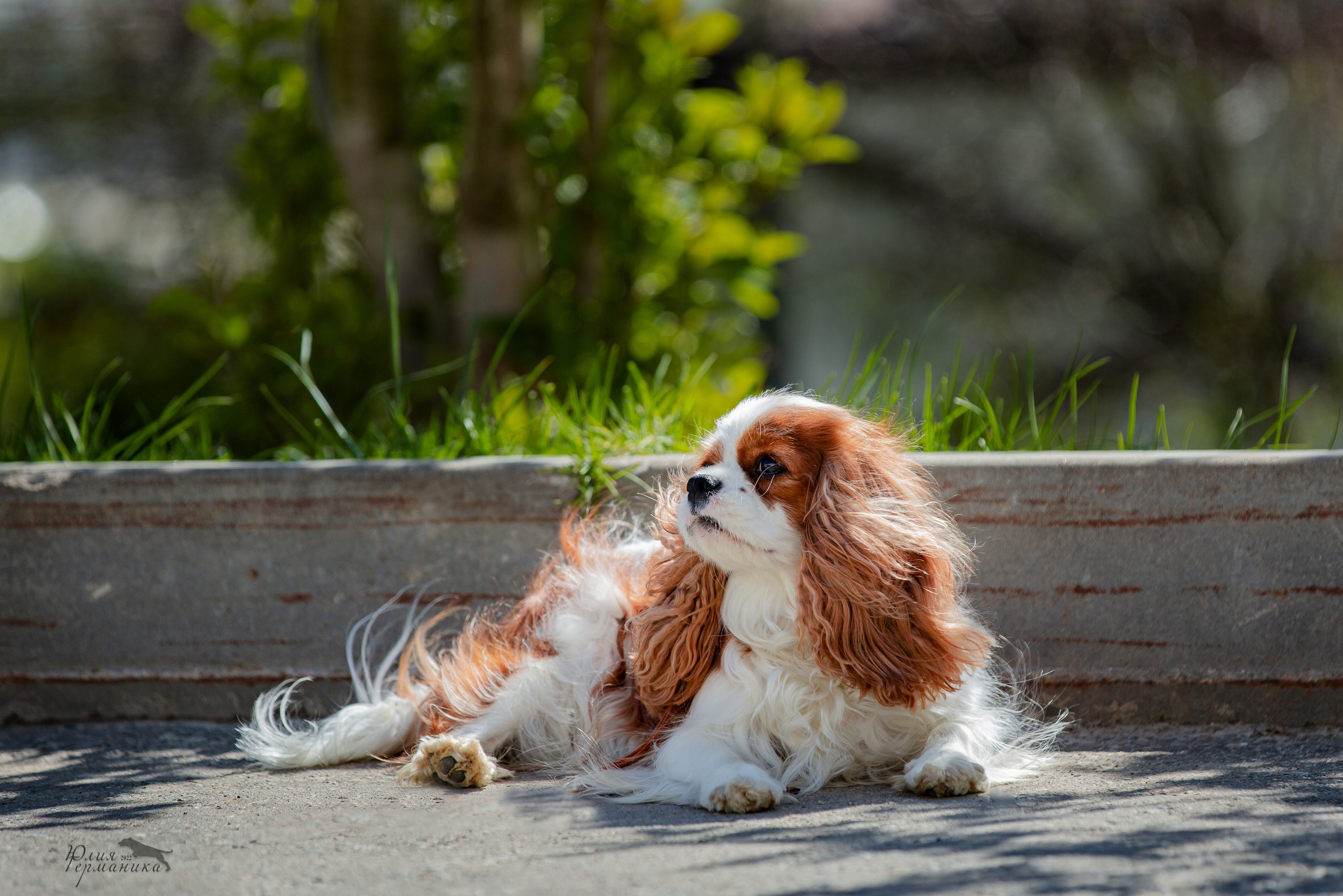 Евразия 21-22 мая 2022. Фотограф-анималист Юлия Германика