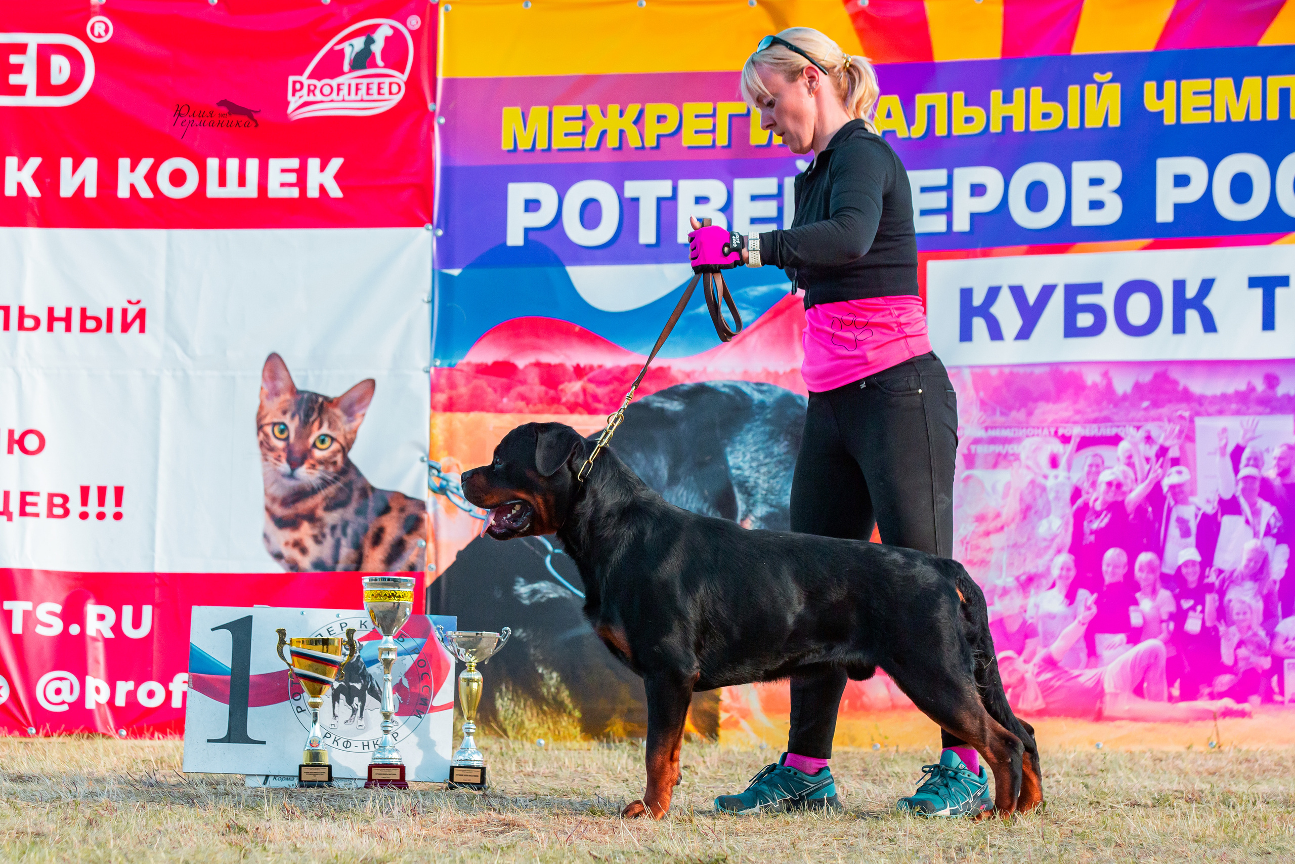 Тверь моно ротвейлеров 2-3.07.2022. Фотограф-анималист Юлия Германика