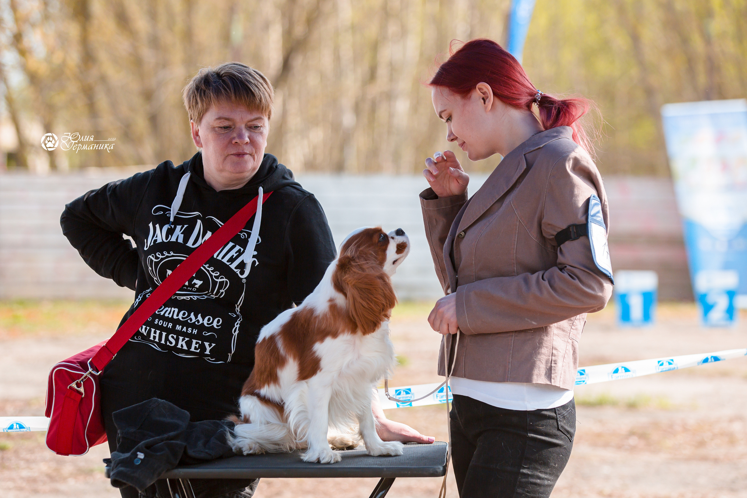 Александров 2хСАС 8 мая 2022. Фотограф-анималист Юлия Германика