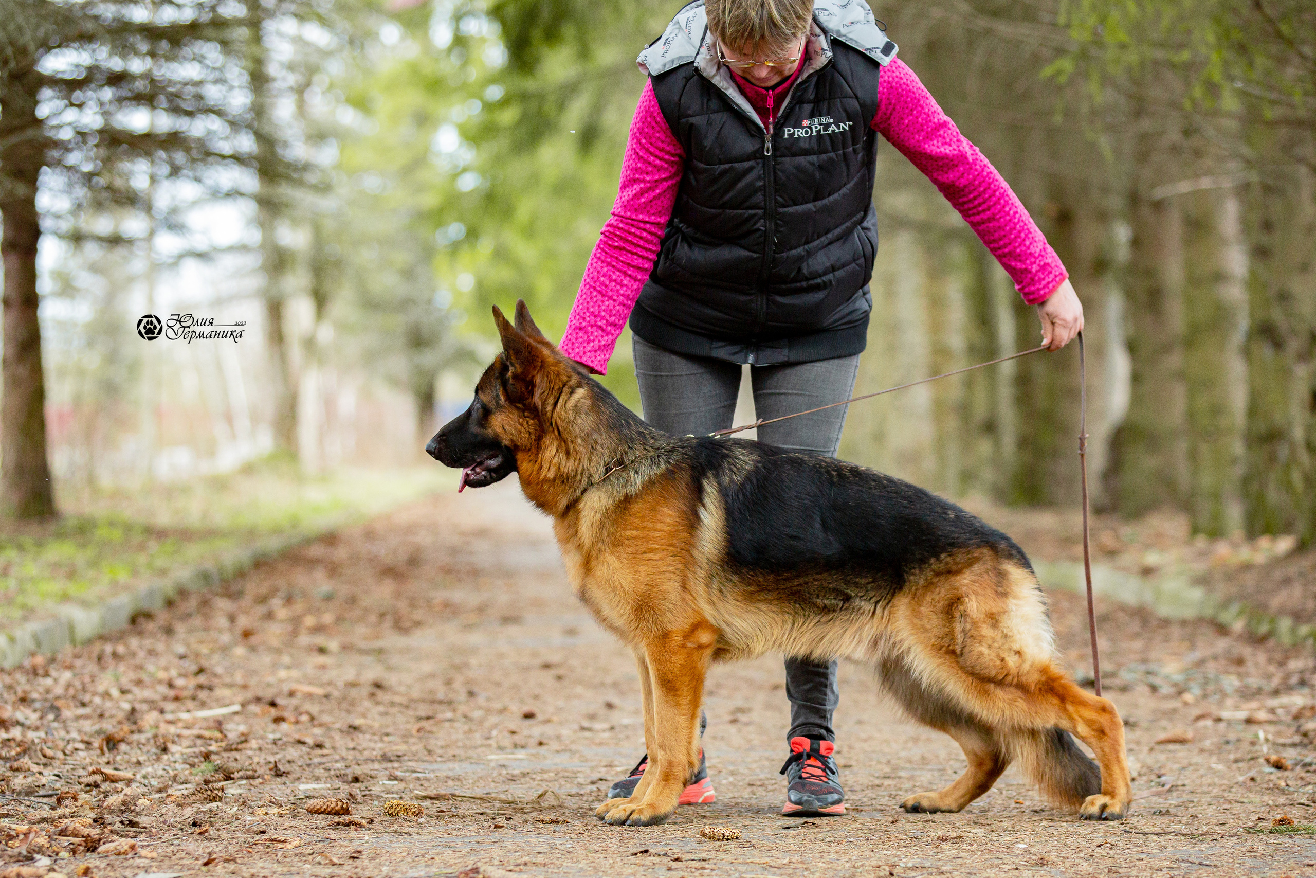 Свободная съемка. Фотограф-анималист Юлия Германика