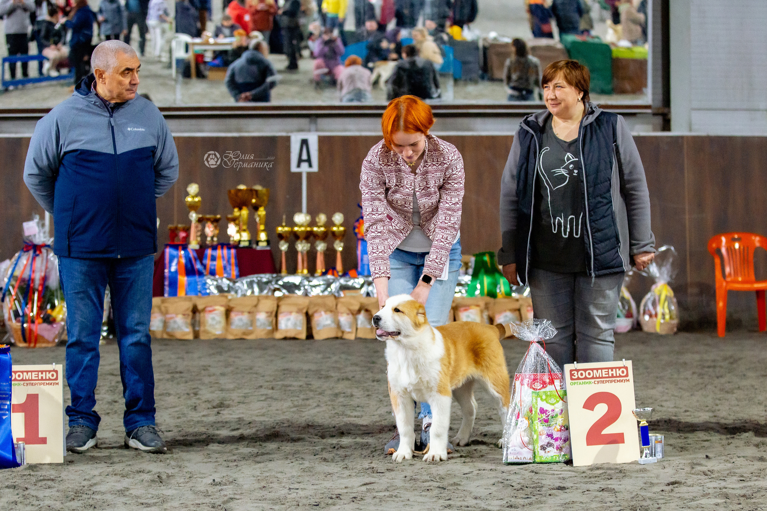 Националка САО+КЧК 24 апреля 2022. Фотограф-анималист Юлия Германика