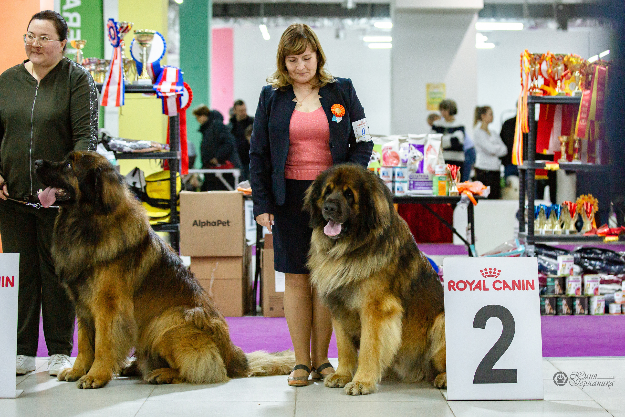 Чайна-Таун 16-17 апреля 2022. Фотограф-анималист Юлия Германика