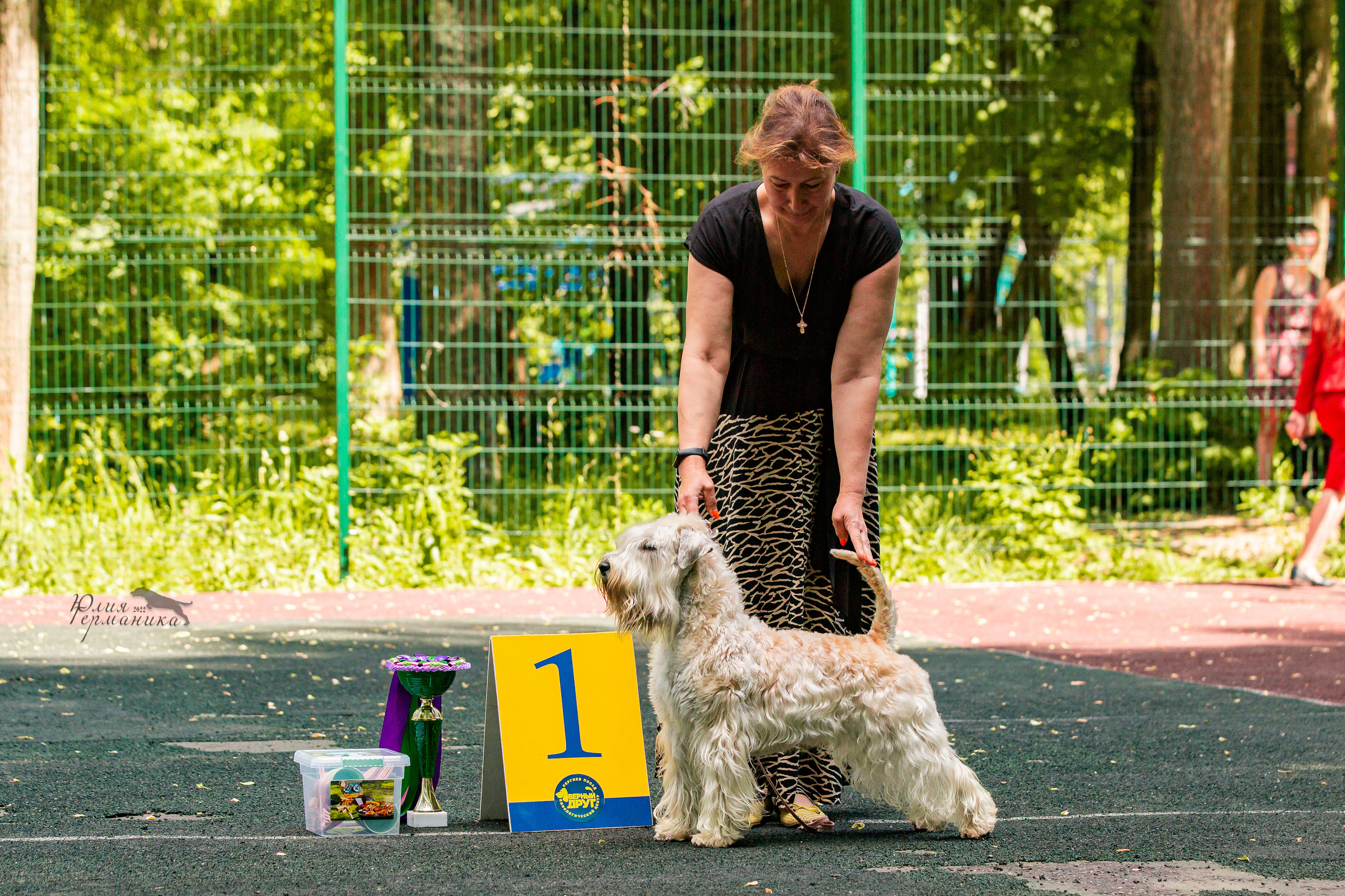 Сергиев Посад 2хСАС 25.06.2022. Фотограф-анималист Юлия Германика