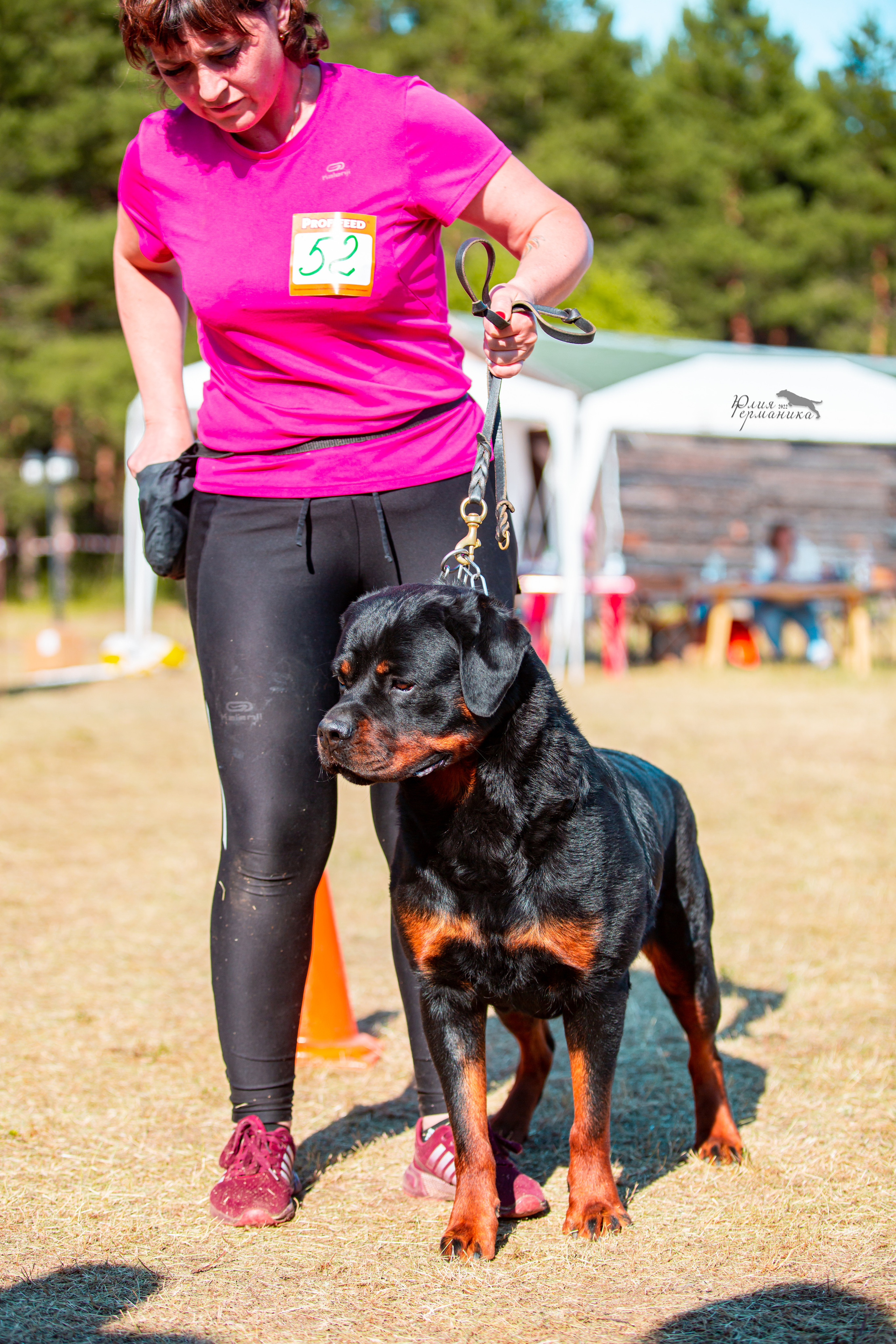Тверь моно ротвейлеров 2-3.07.2022. Фотограф-анималист Юлия Германика