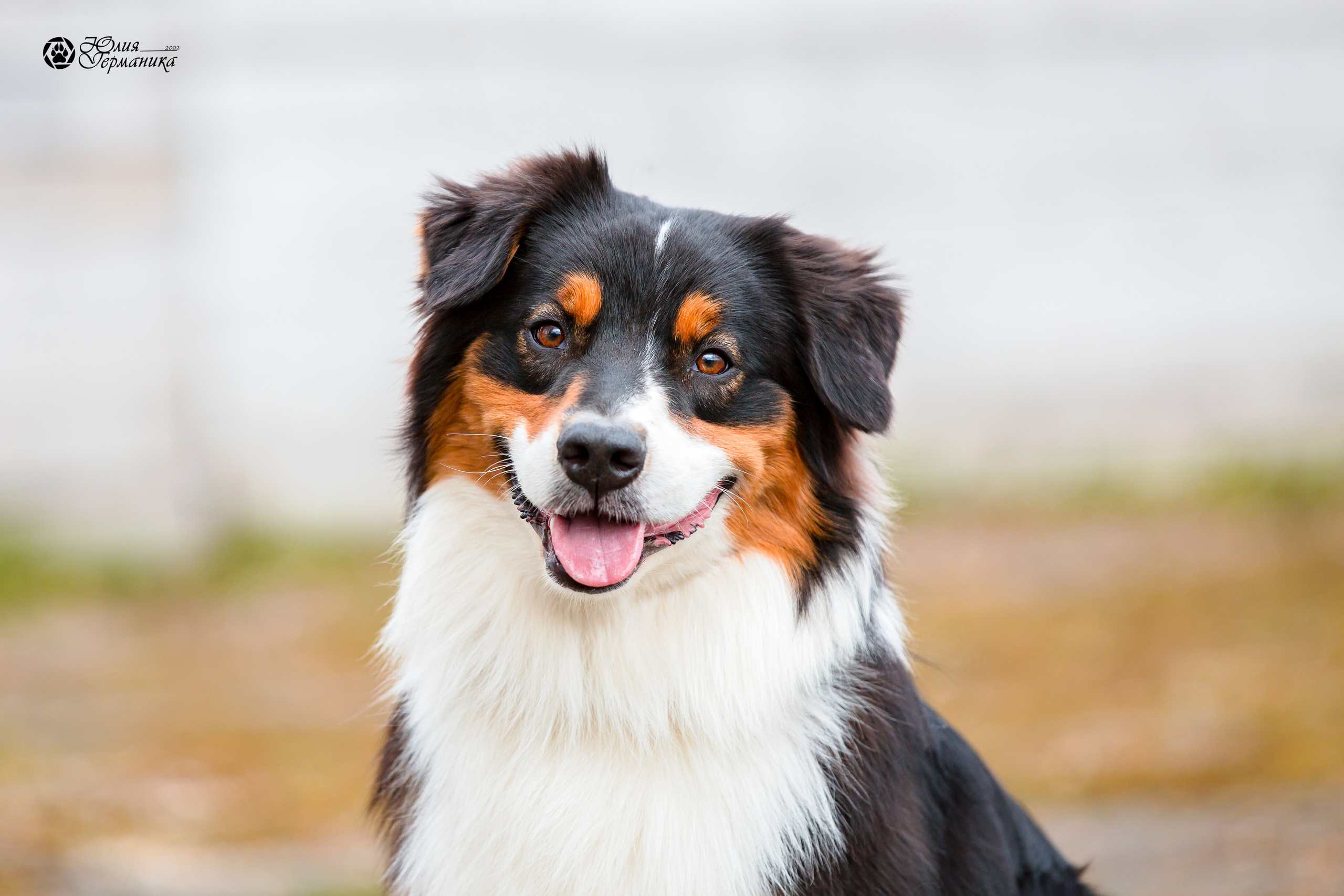 Александров 2хСАС 8 мая 2022. Фотограф-анималист Юлия Германика