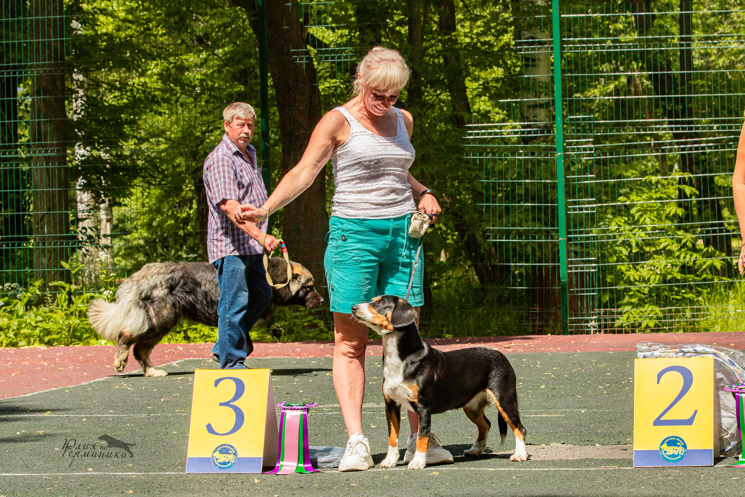 Сергиев Посад 2хСАС 25.06.2022. Фотограф-анималист Юлия Германика