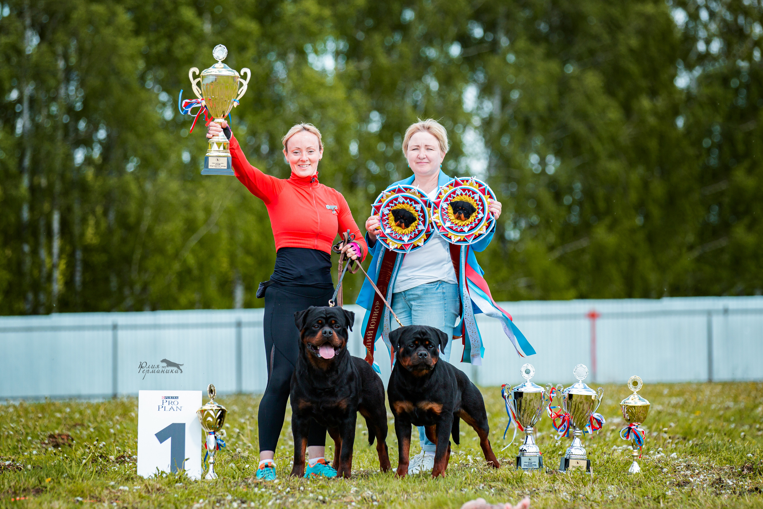 Нижний Новгород моно ротвейлеров 4 июня 2022. Фотограф-анималист Юлия Германика