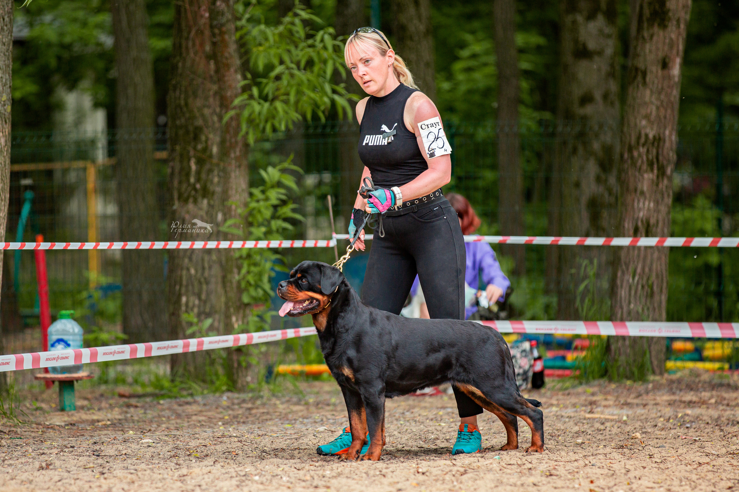 Смоленск 12.06,   Ховрино 13.06,    Питер 18.06 2022. Фотограф-анималист Юлия Германика