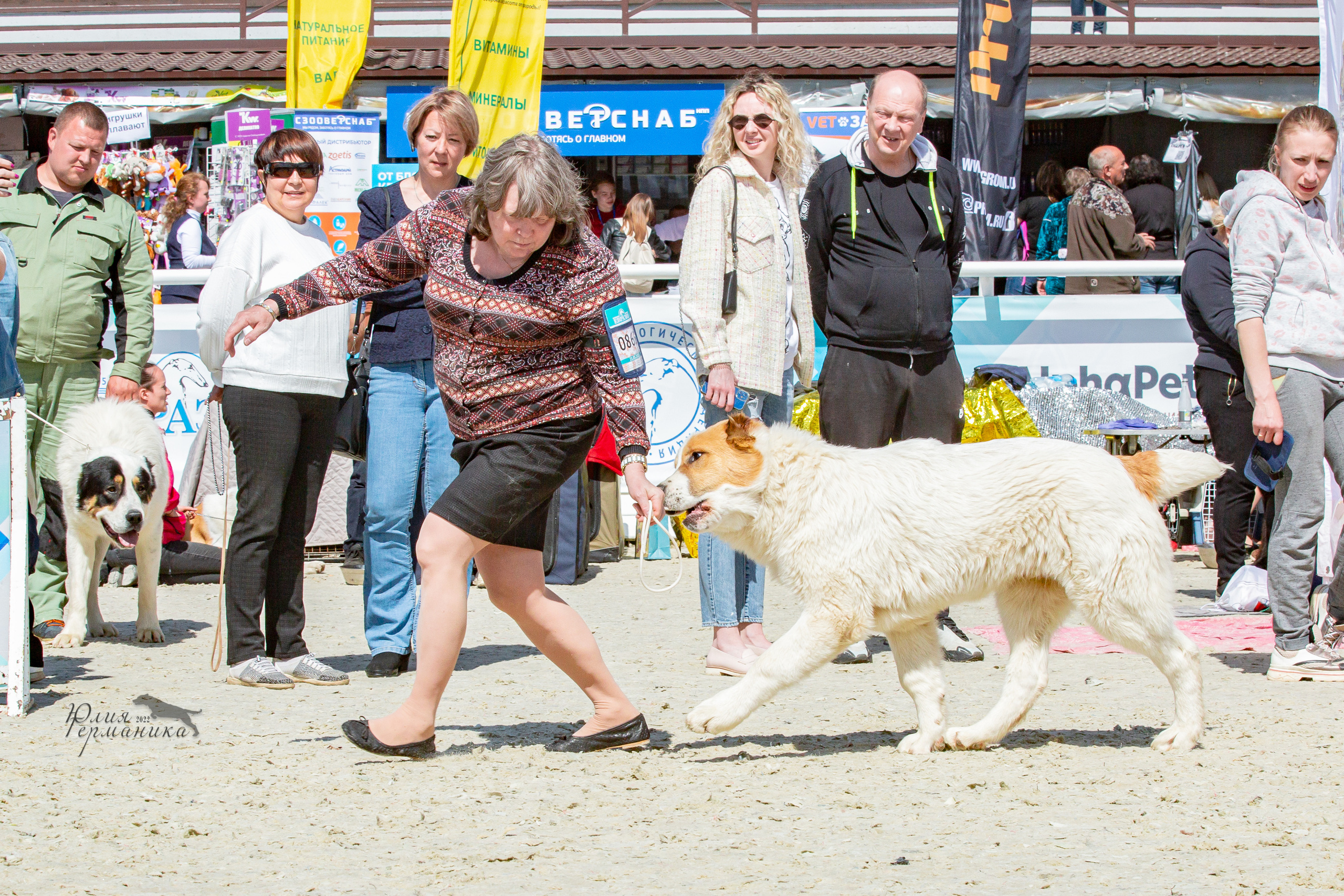 Евразия 21-22 мая 2022. Фотограф-анималист Юлия Германика