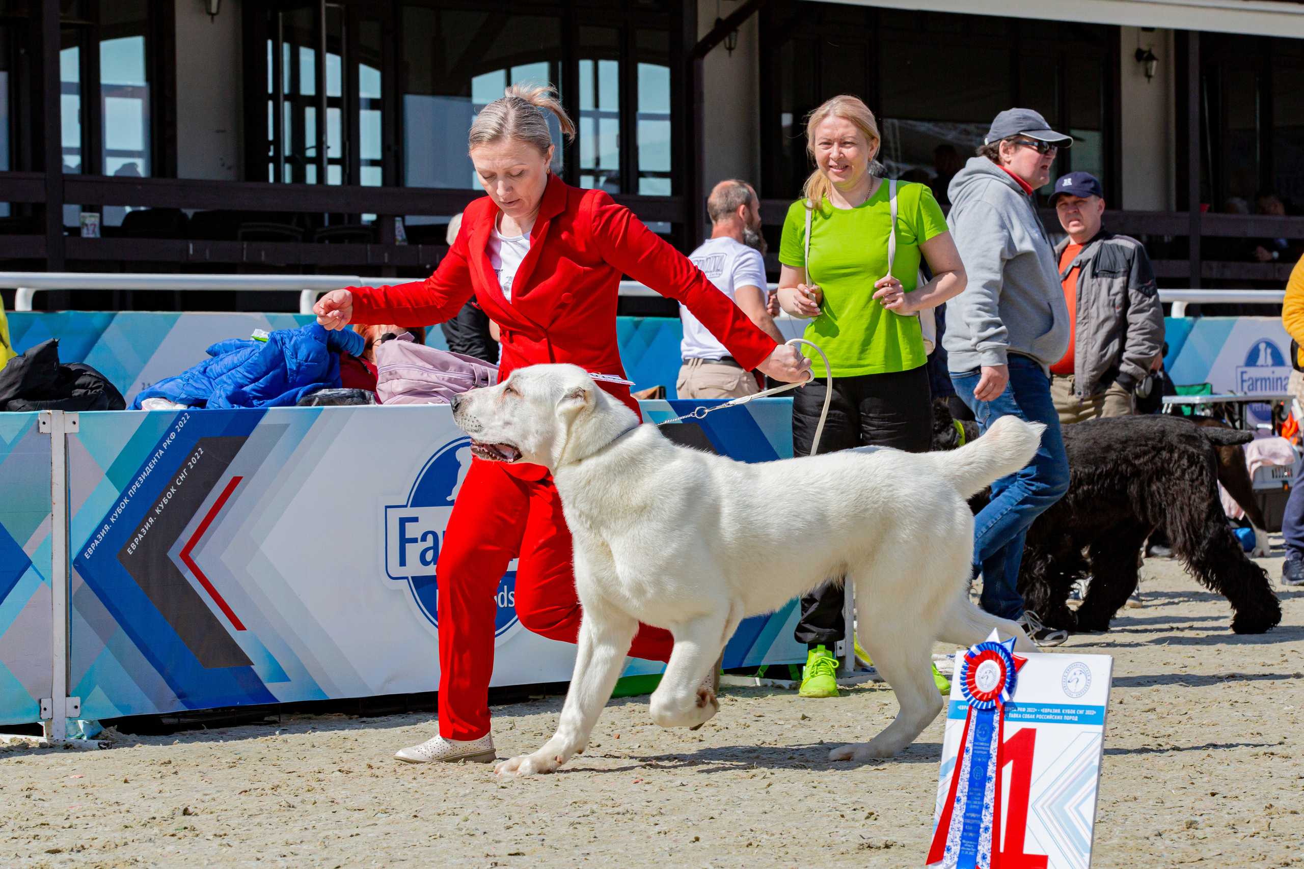 Евразия 21-22 мая 2022. Фотограф-анималист Юлия Германика