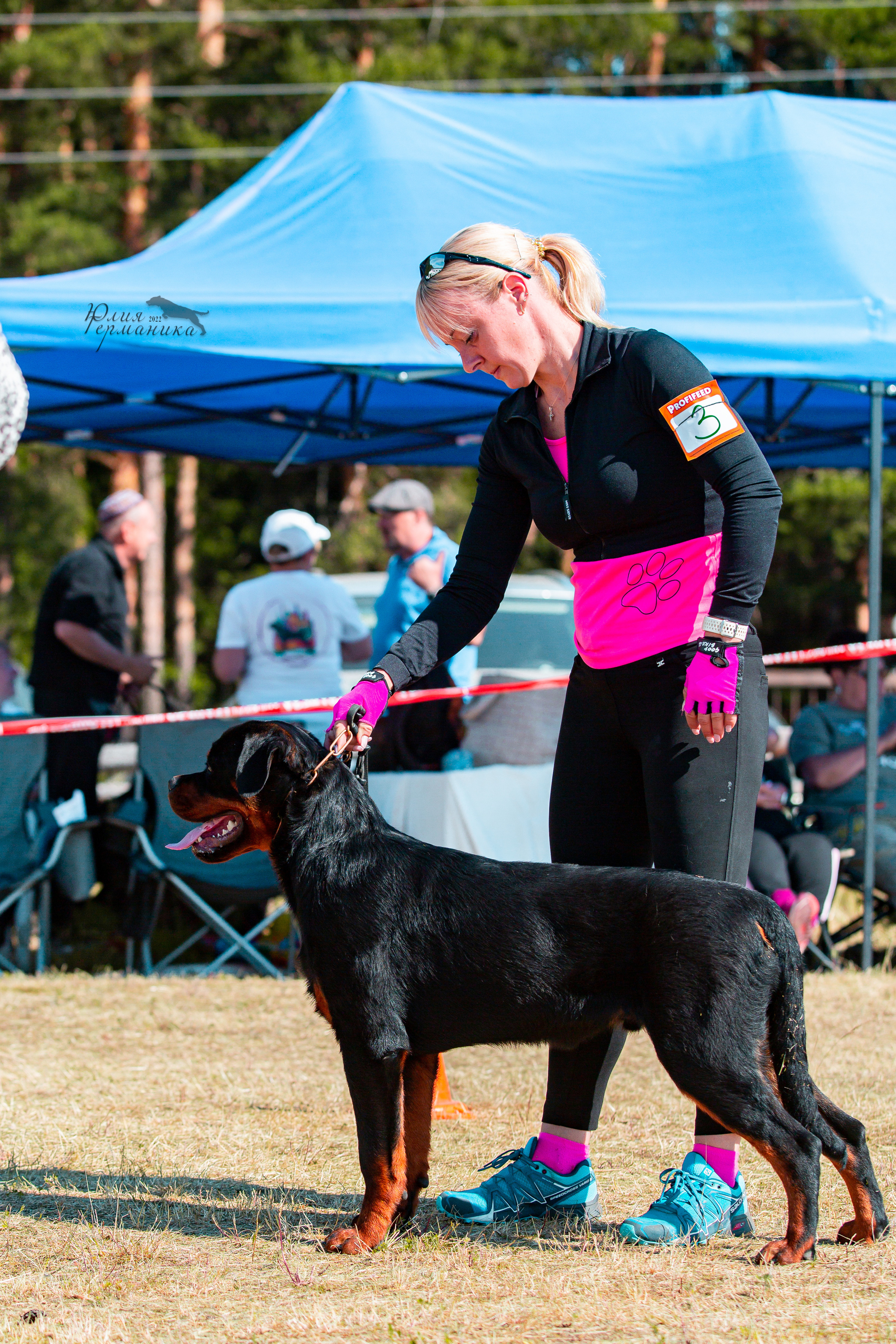 Тверь моно ротвейлеров 2-3.07.2022. Фотограф-анималист Юлия Германика
